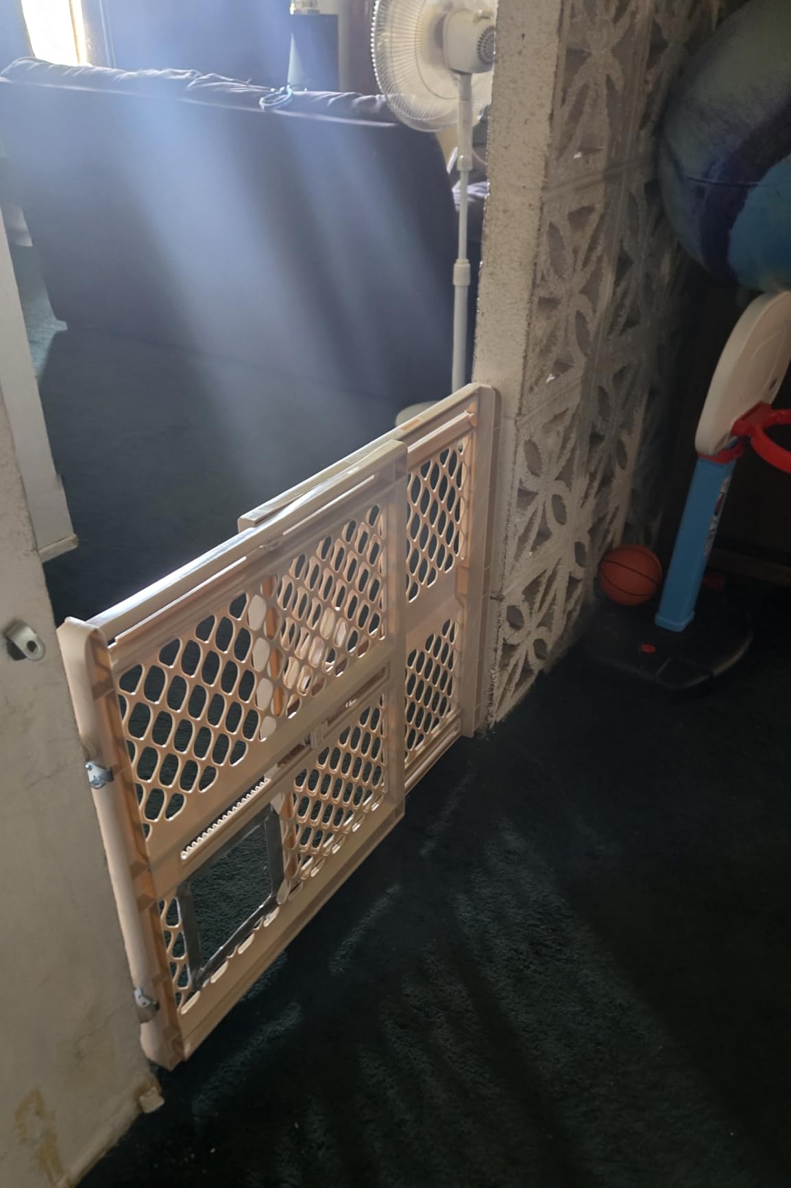 Toddleroo by North States - Supergate Ergo Baby Gate: Plastic Baby Gate for Stairs & Doorways - Adjustable Indoor Safety Gate - Made in USA - 26 to 42 Inches Wide - 26 Inches Tall - Sand customer photo 2