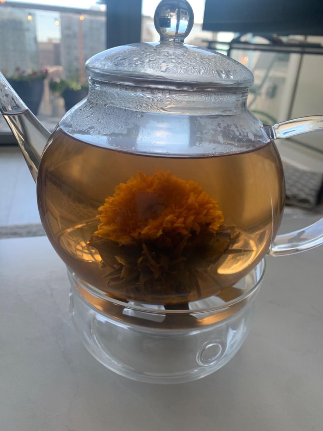 Teabloom Complete Glass Tea Set - Teapot (40 oz), Loose Tea Infuser, 4 Insulated Teacups, Tea Warmer with Candlelight, and 12 Flowering Teas - Elegant Blooming Tea Gift Set customer photo 2