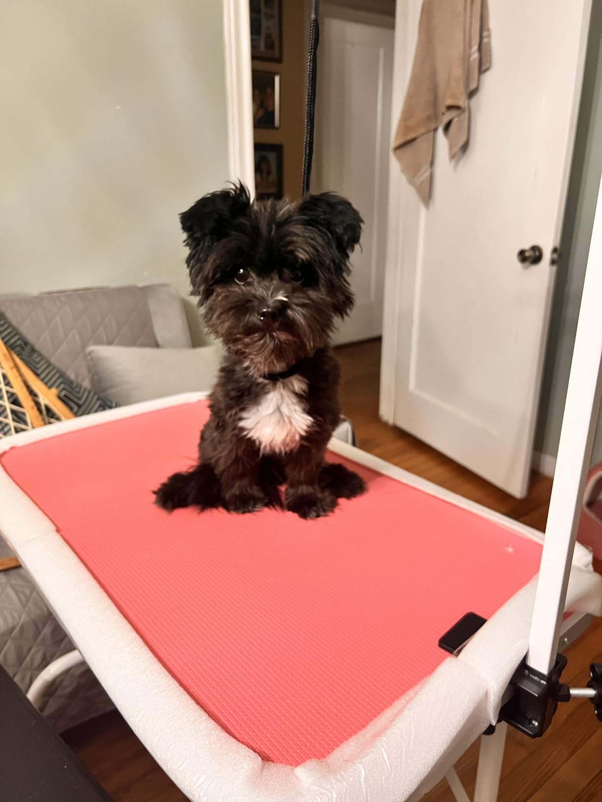 Yaheetech 32 Inch Sturdy Dog Grooming Table for Home, Black | Foldable Dog Grooming Table for Small Medium Dogs, 220lb Capacity, Adjustable Grooming Arm, Non-Slip Surface, No-tool Setup customer photo 1