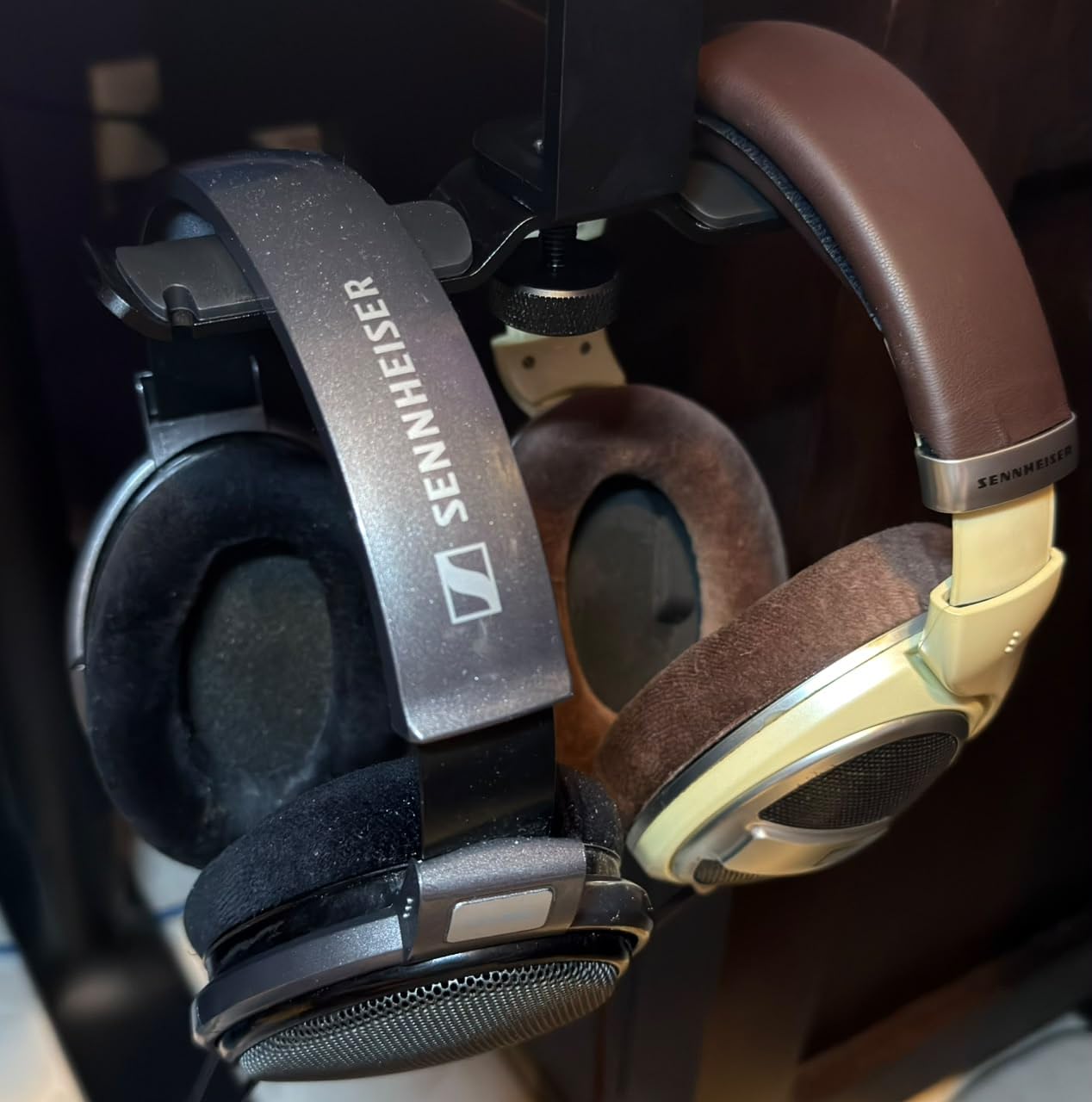 SENNHEISER HD 599 Open Back Headphone, Ivory customer photo 2