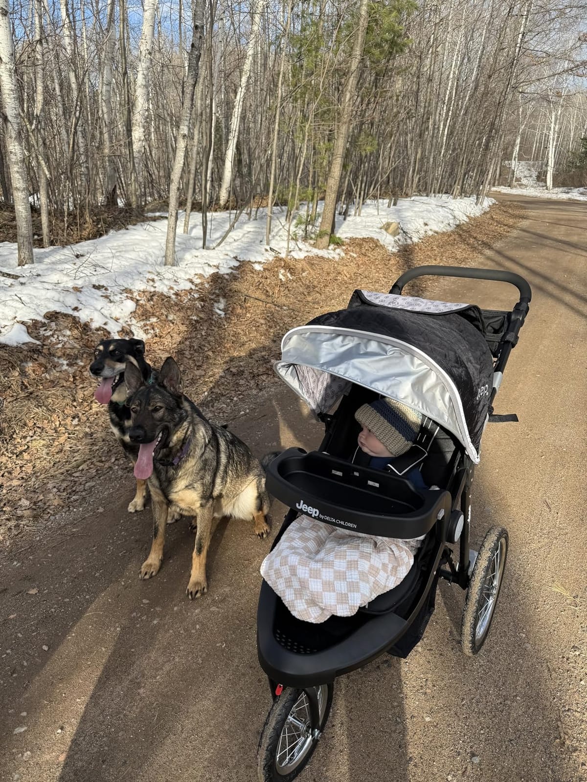 Jeep Cross-Country Sport Plus Jogging Stroller by Delta Children, Charcoal Galaxy customer photo 1