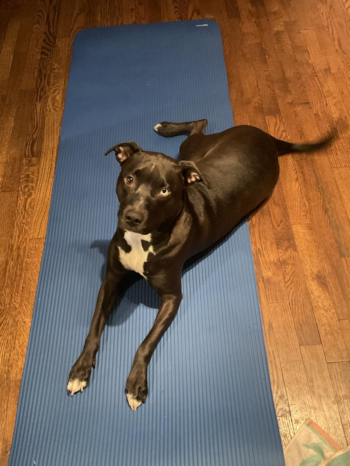 Amazon Basics Extra Thick Exercise Yoga Mat with Carrying Strap customer photo 2