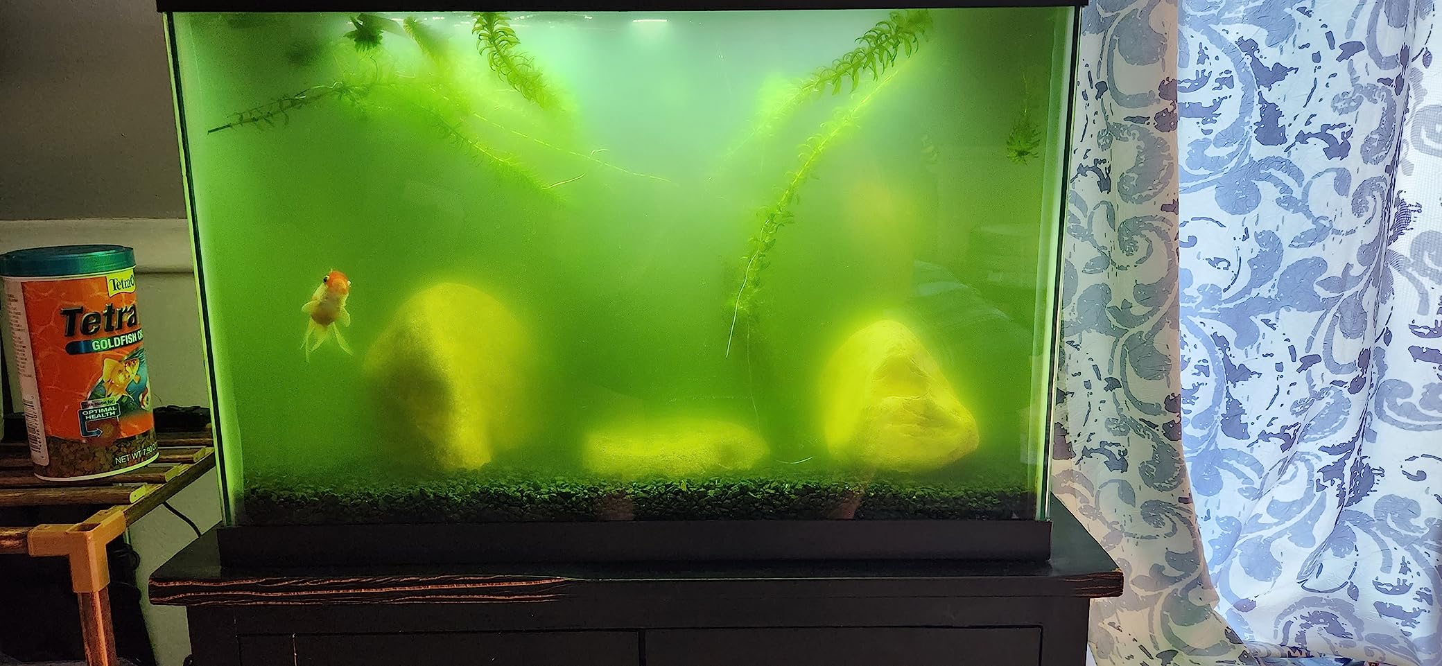 GRECH CBG-500 5W UV Hang On Back Aquarium Filter - 132 GPH HOB Power Filter for 10-30 Gallon Fish Tanks, External Filter with UV Water Clarifier customer photo 2