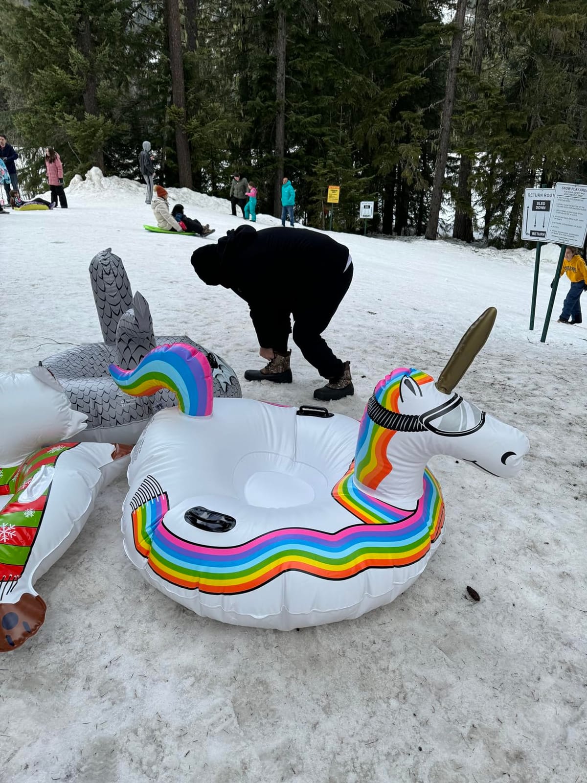 GoFloats Winter Snow Tubes - Choose from Unicorn, Disney's Frozen, Ice Dragon, Polar Bear, Penguin, Flamingo - Inflatable Sled for Kids and Adults customer photo 2