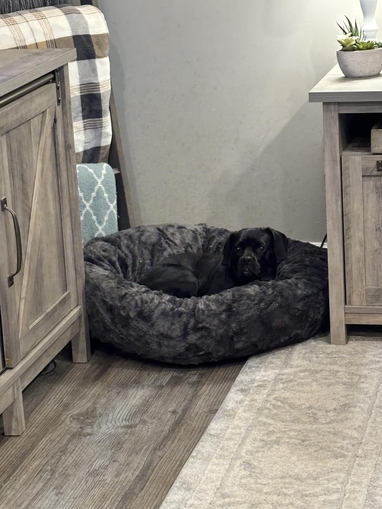 Best Friends by Sheri Original Calming Donut Dog Bed, Frost Gray, Small 23