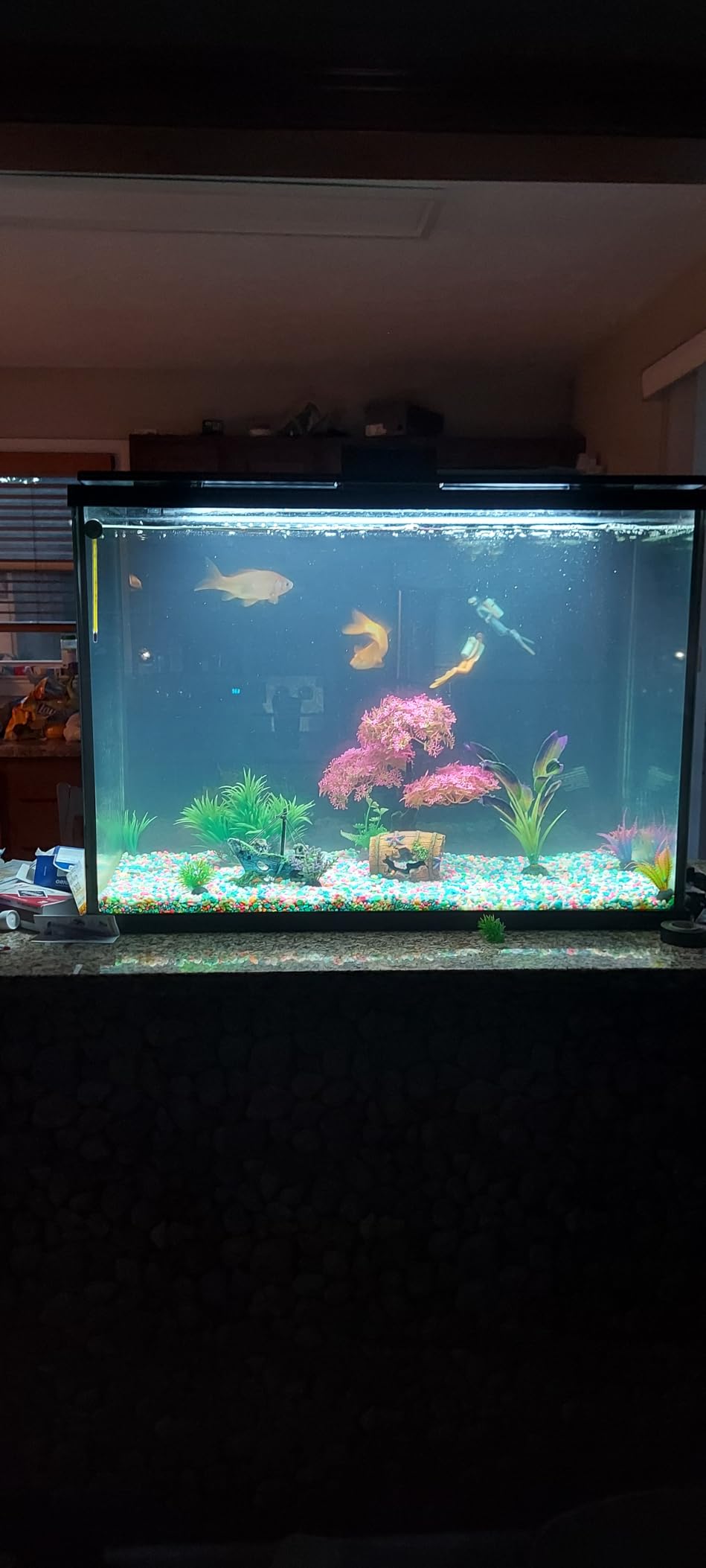 Tetra Whisper IQ Power Filter 45 Gallons, 215 GPH, with Stay Clean Technology customer photo 1