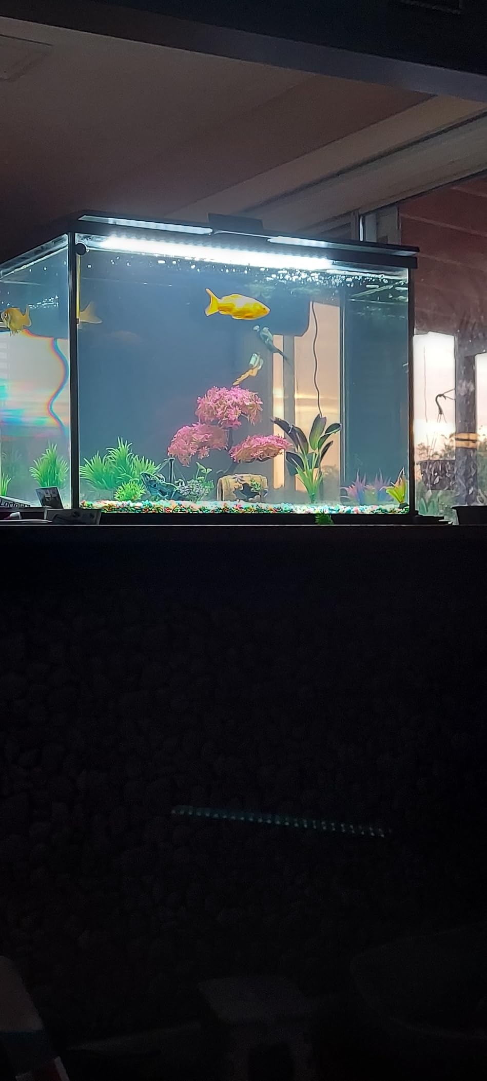 Tetra Whisper IQ Power Filter 45 Gallons, 215 GPH, with Stay Clean Technology customer photo 2
