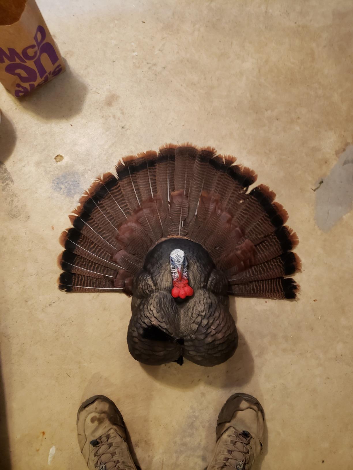 Hunters Specialties HS Strut Lite Flock Jake & Feeding Hen & Upright Hen 3-Pack Combo Set customer photo 1
