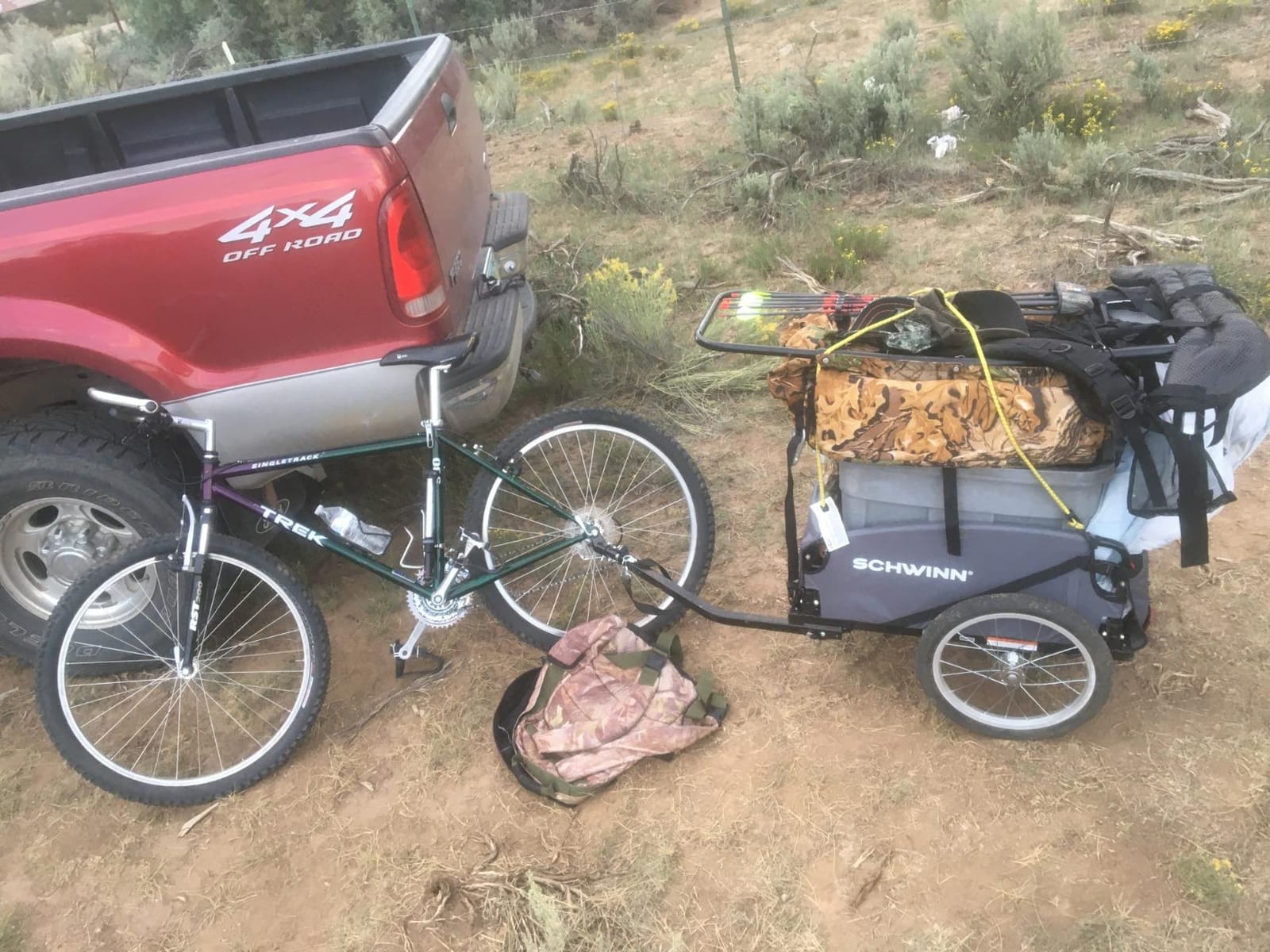 Schwinn Daytripper Bike Cargo Trailer, Holds up to 100 lb, Universal Coupler, Folding Frame, Quick-Release Wheels, 16-Inch Air-Filled Tires, Interior D-Rings, Schwinn Bike Trailer for Carrying Cargo customer photo 1