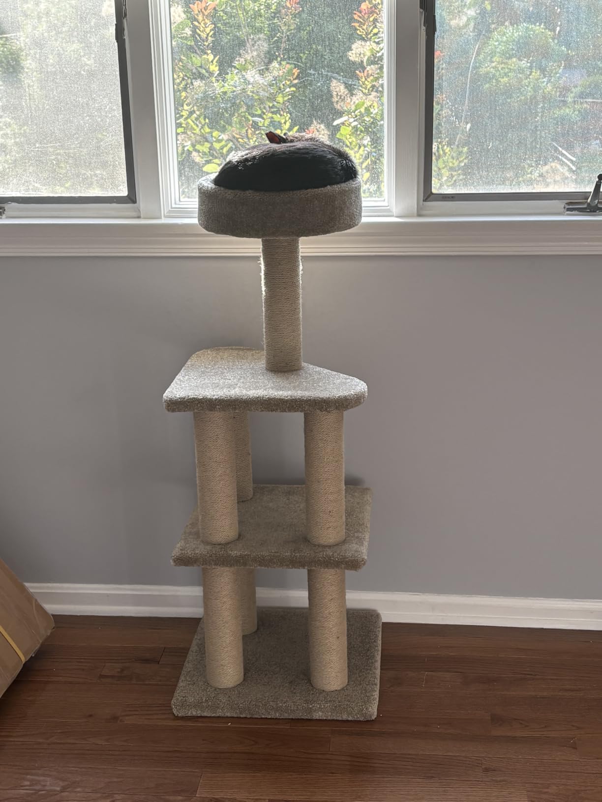 Amazon Basics Cat Tree Tower - Multi-Level Climbing Activity Center for Indoor Cats & Kittens with Scratching Posts, Platform, Jute Rope, Large (45.9