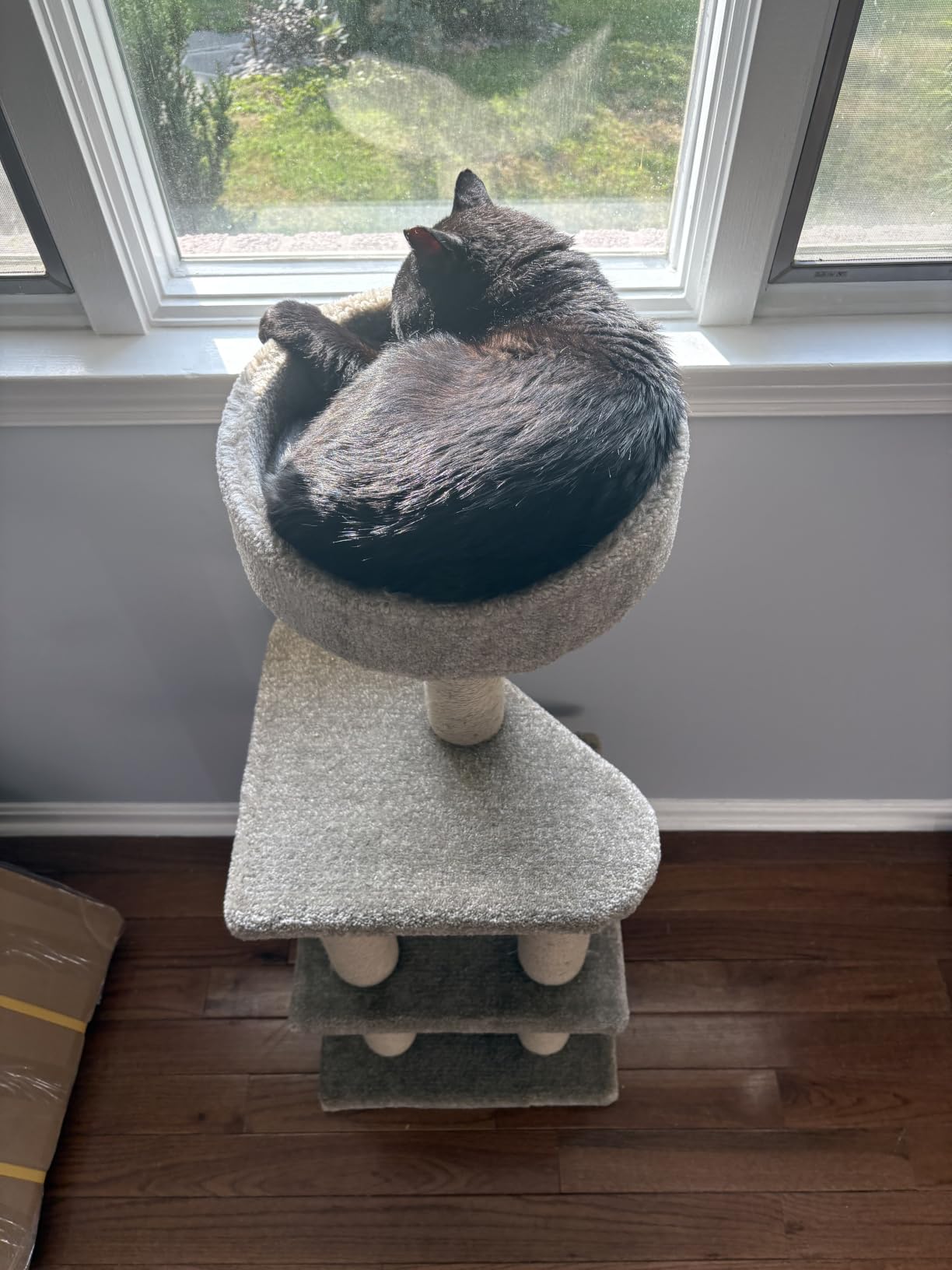 Amazon Basics Cat Tree Tower - Multi-Level Climbing Activity Center for Indoor Cats & Kittens with Scratching Posts, Platform, Jute Rope, Large (45.9
