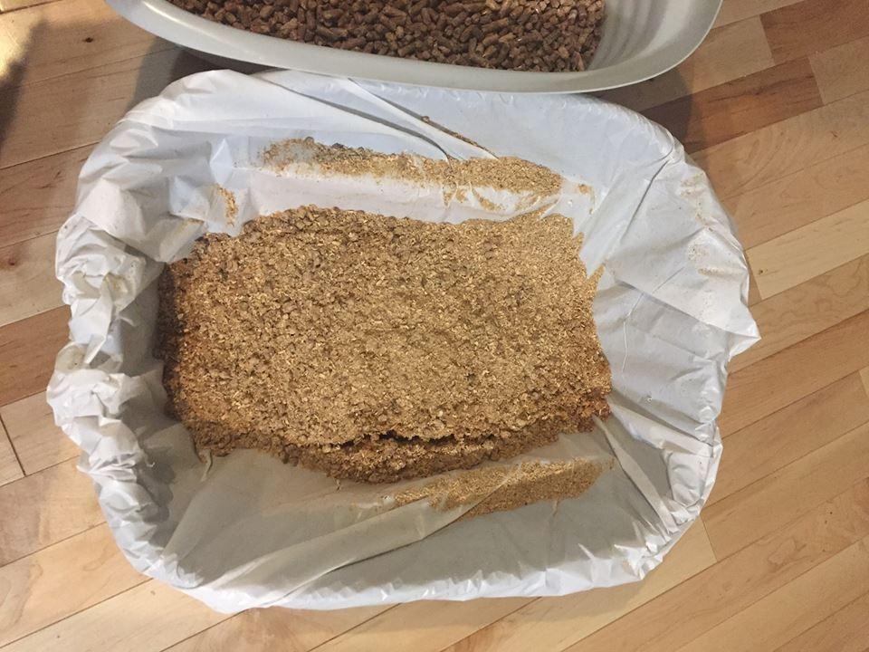 Arm & Hammer Large Sifting Litter Box Scoop Free Cat Litter Tray with Microban, Made in USA customer photo 1