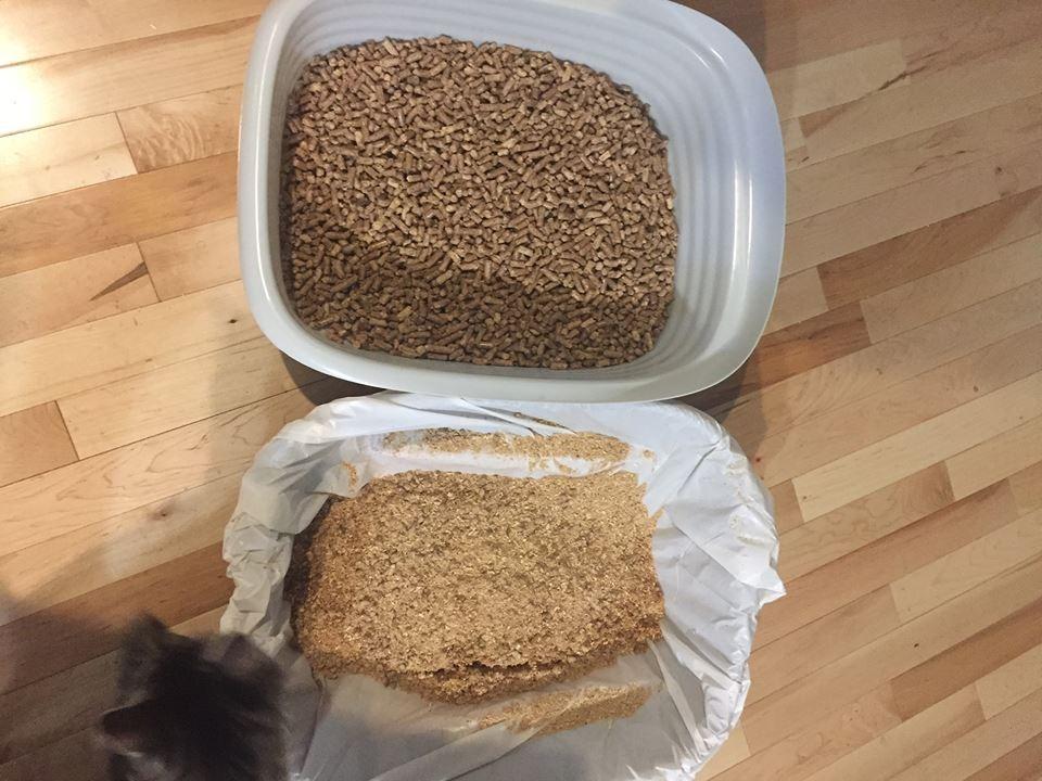 Arm & Hammer Large Sifting Litter Box Scoop Free Cat Litter Tray with Microban, Made in USA customer photo 2