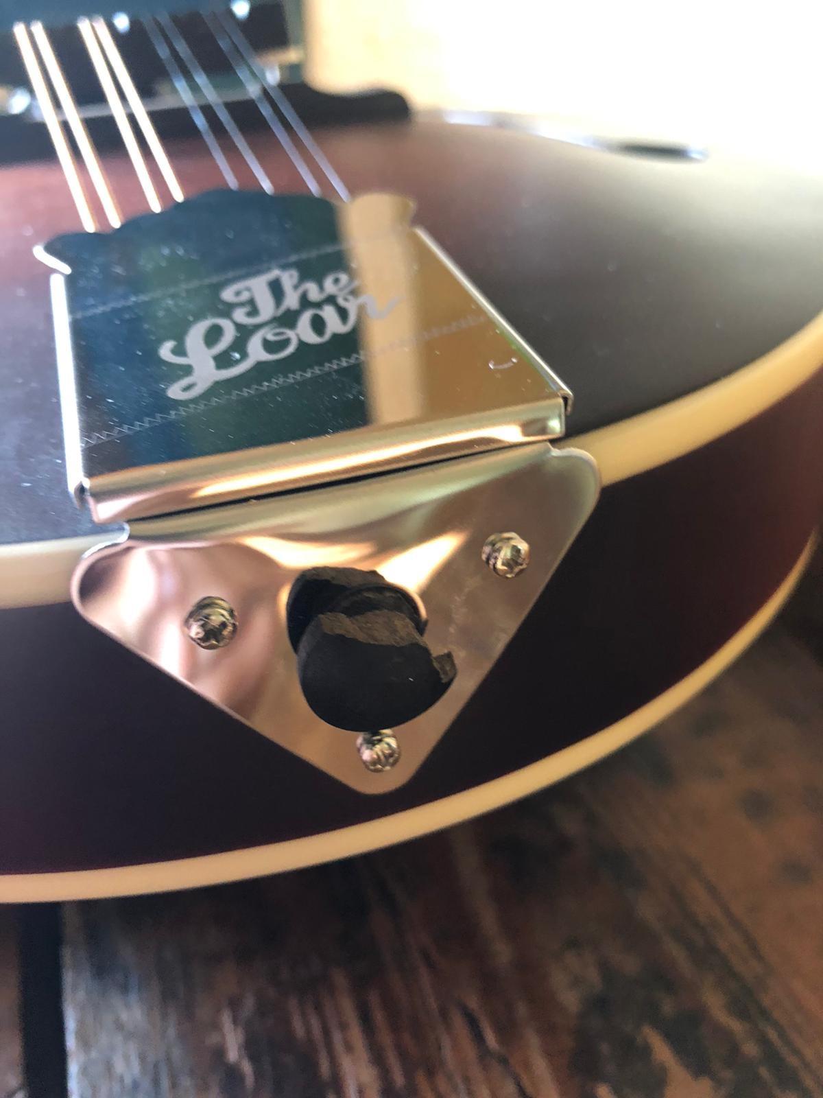 The Loar LM-310F-BRB Honey Creek F-Style Mandolin customer photo 1