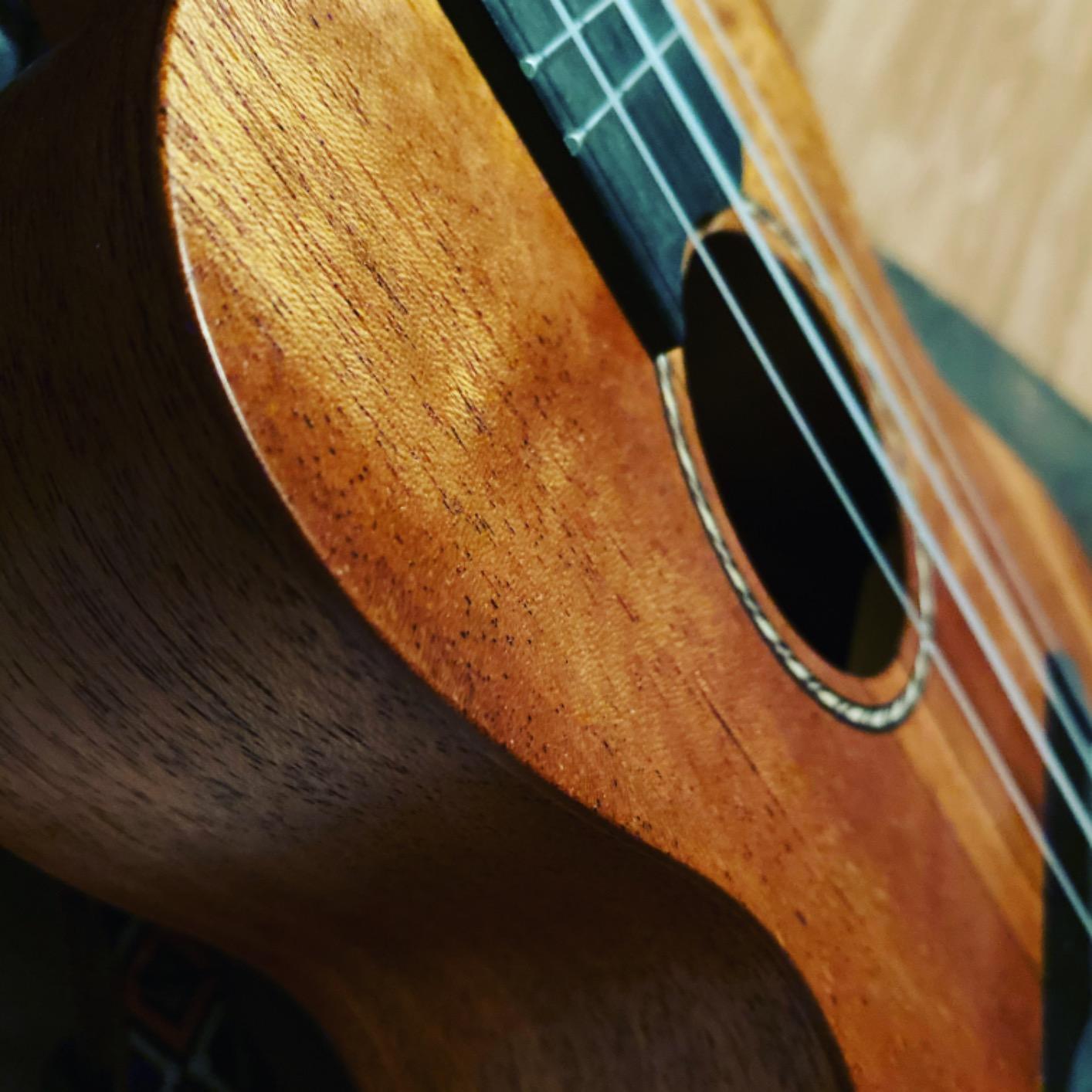 Donner Tenor Ukulele Mahogany Professional 26 inch Ukelele Starter Bundle Kit with Free Online Lesson Gig Bag Strap Nylon String Tuner Picks Cloth DUT-1 Ukalalee Set customer photo 2