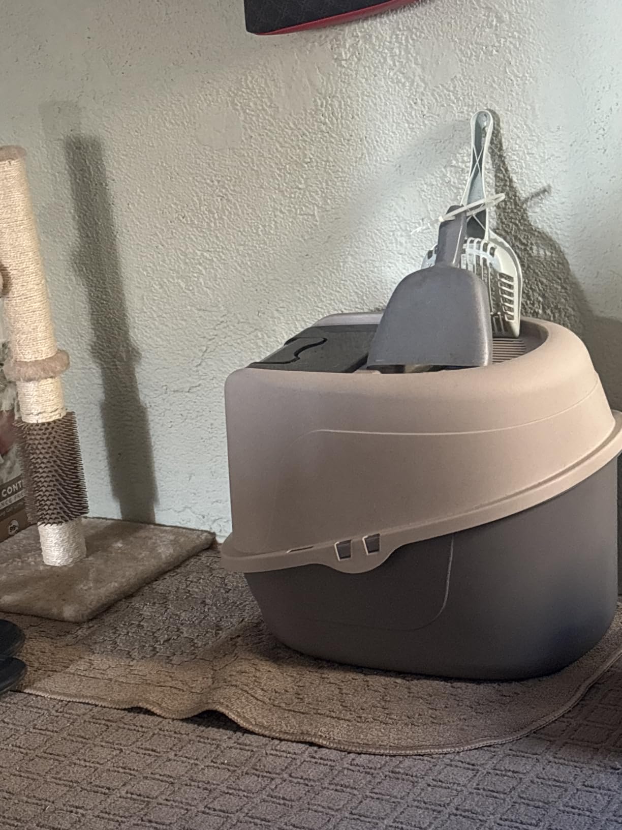 Amazon Basics No-Mess Hooded Enclosed Cat Litter Box with Odor Control and Swinging Door, Standard, 21