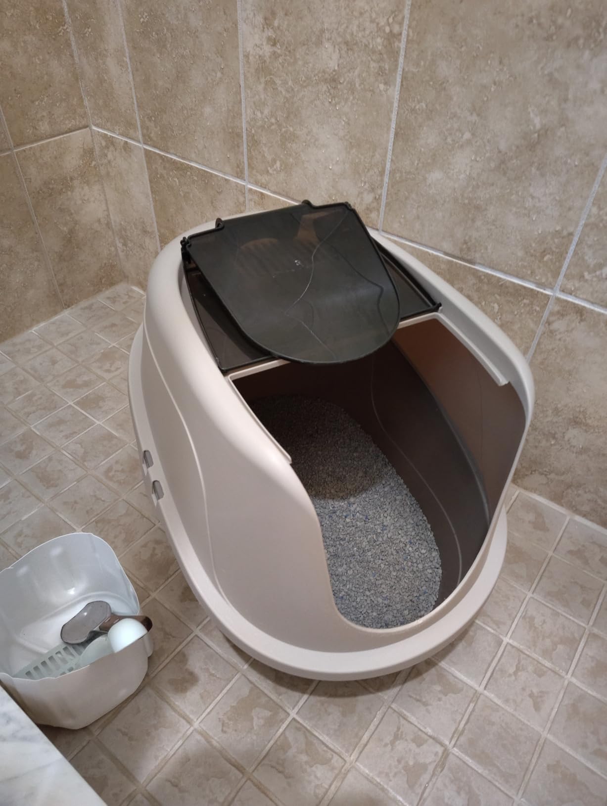 Amazon Basics No-Mess Hooded Enclosed Cat Litter Box with Odor Control and Swinging Door, Standard, 21