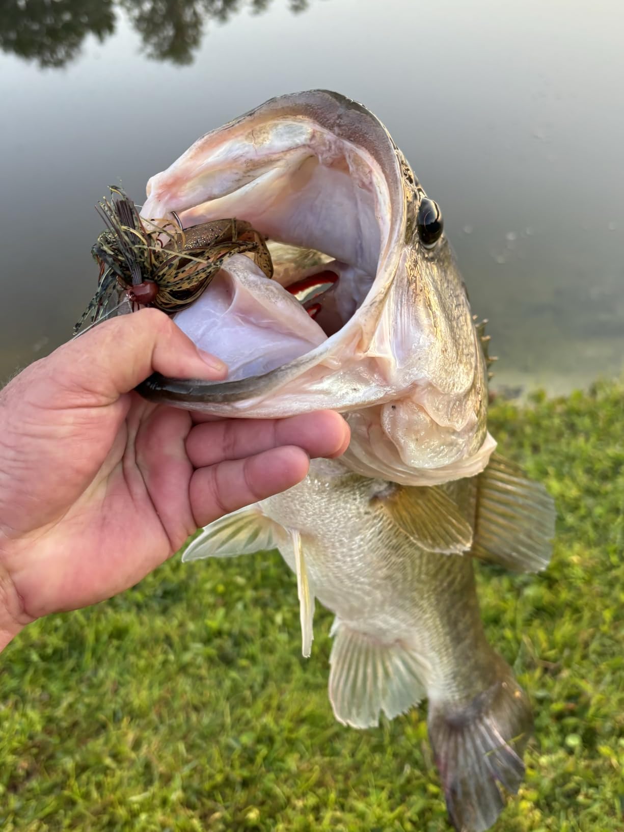 Reaction Tackle Tungsten Swim Jig for Bass Fishing, Weedless Design with Silicone Skirt and Compact Head, Fishing Jig Tackle for Pike, Walleye and Muskie (2-Pack) customer photo 2
