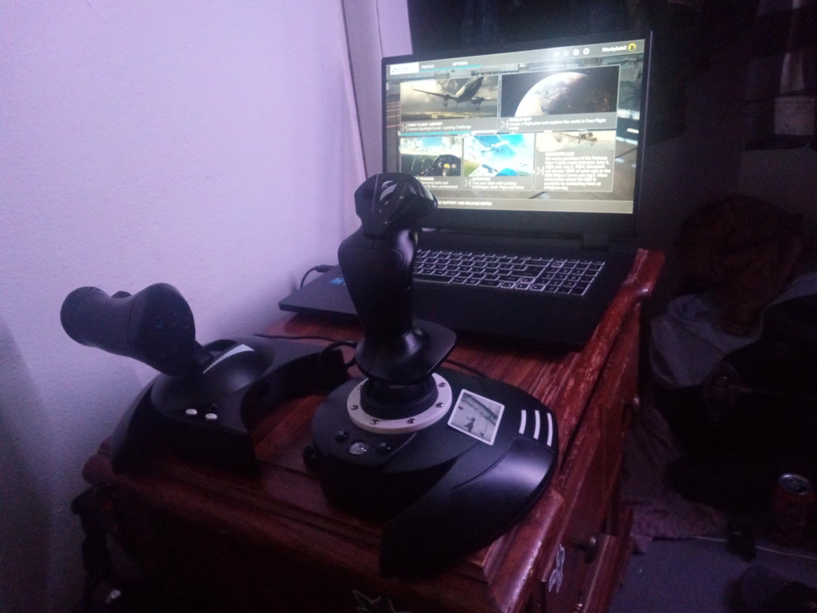 Thrustmaster T-Flight Hotas One Flight Stick & Throttle - XBOX & PC | Detachable design, Officially licensed, adjustable resistance, responsive trigger, 14 programmable buttons, dual rudder customer photo 2