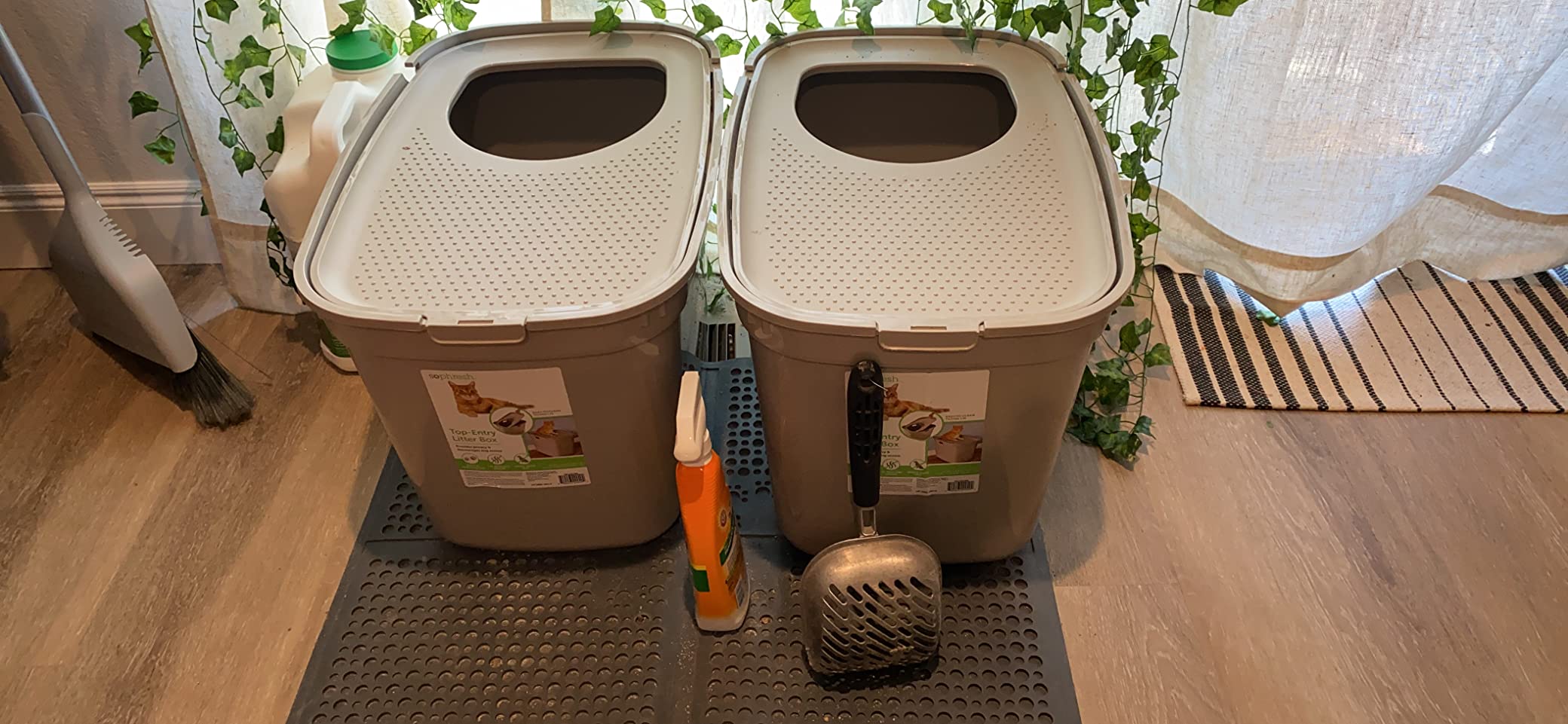 So Phresh by Petco Top-Entry Litter Box Tan 23.2