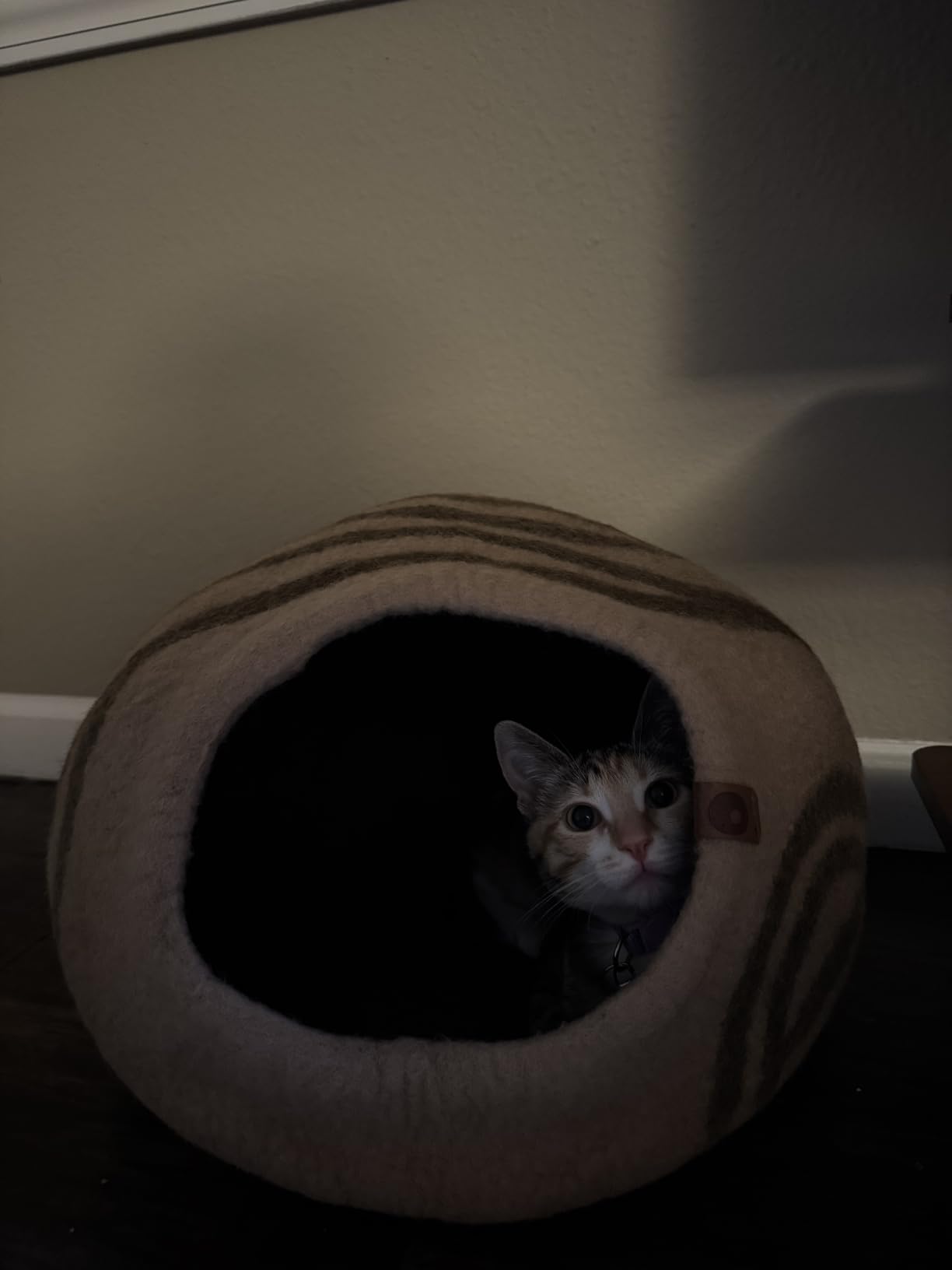 MEOWFIA Cat Cave - Premium Felt Cat Bed Enclosure for Indoor Cats, Handmade Merino Wool (Light Gray, Medium) customer photo 1