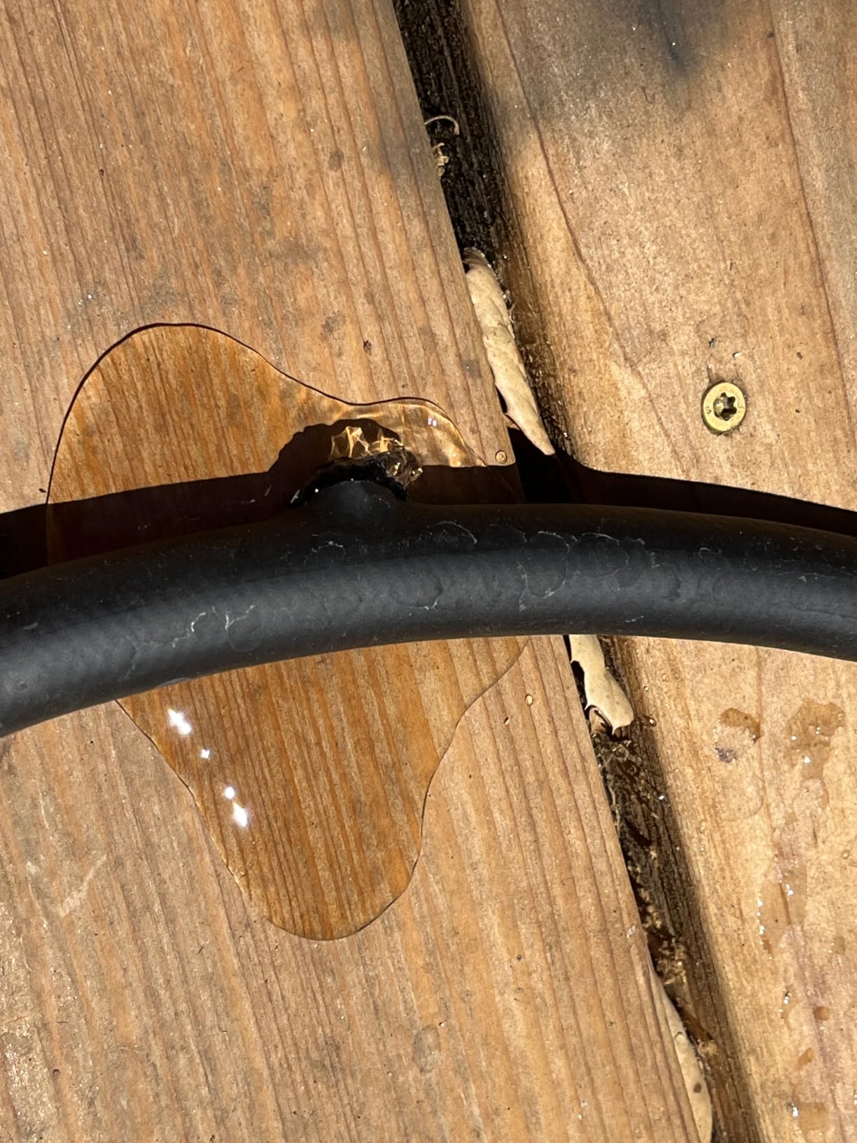 Giraffe Tools Garden Hose 5/8