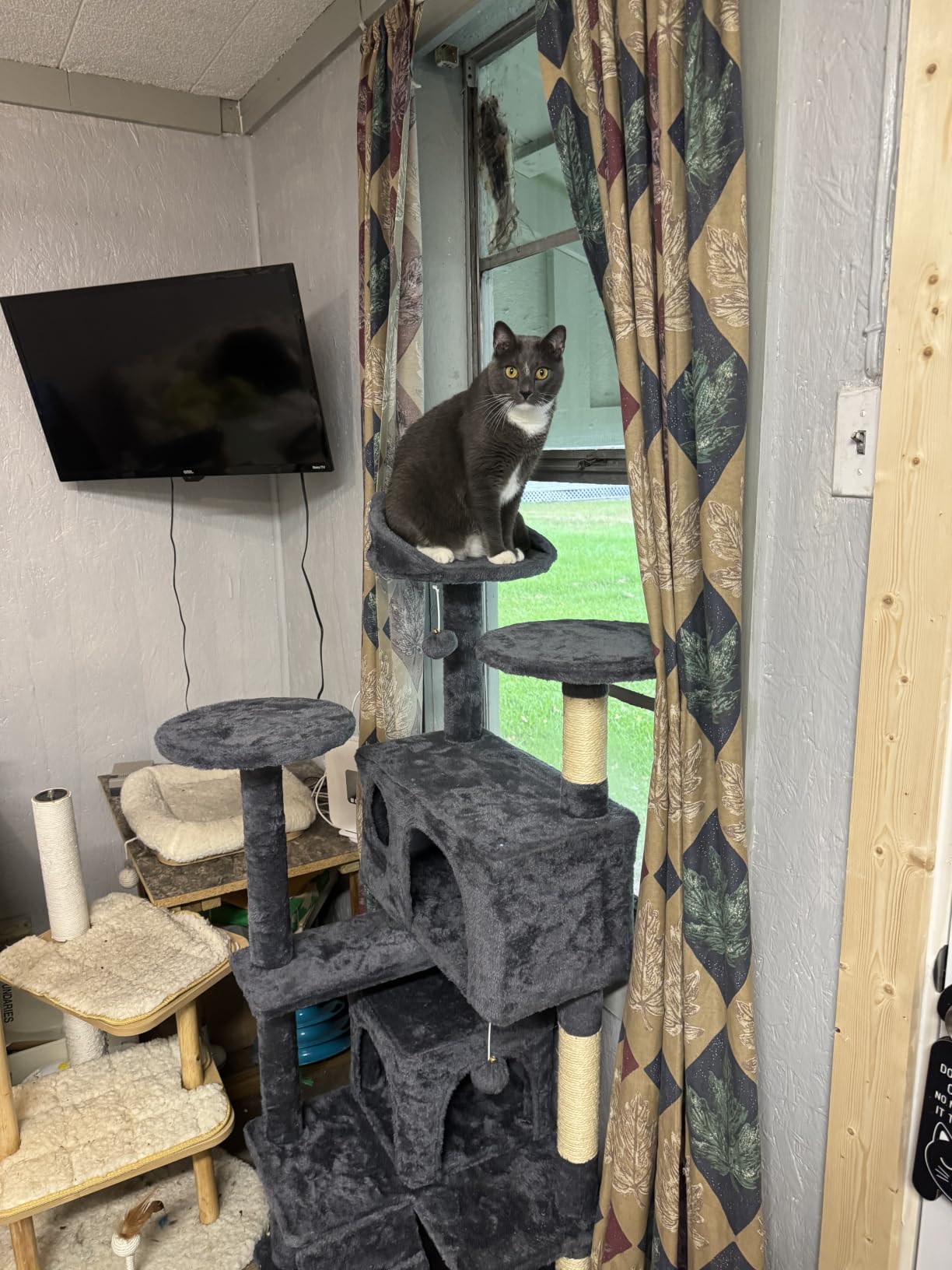 Yaheetech 54in Cat Tree, Multi-Level Cat Tower with Spacious Kitten-ear Perch, 2 Cozy Caves, Scratching Posts, Climbing Ladder, 2 Plush Balls, Durable Pet House Furniture for Indoor Kittens, Dark Gray customer photo 2
