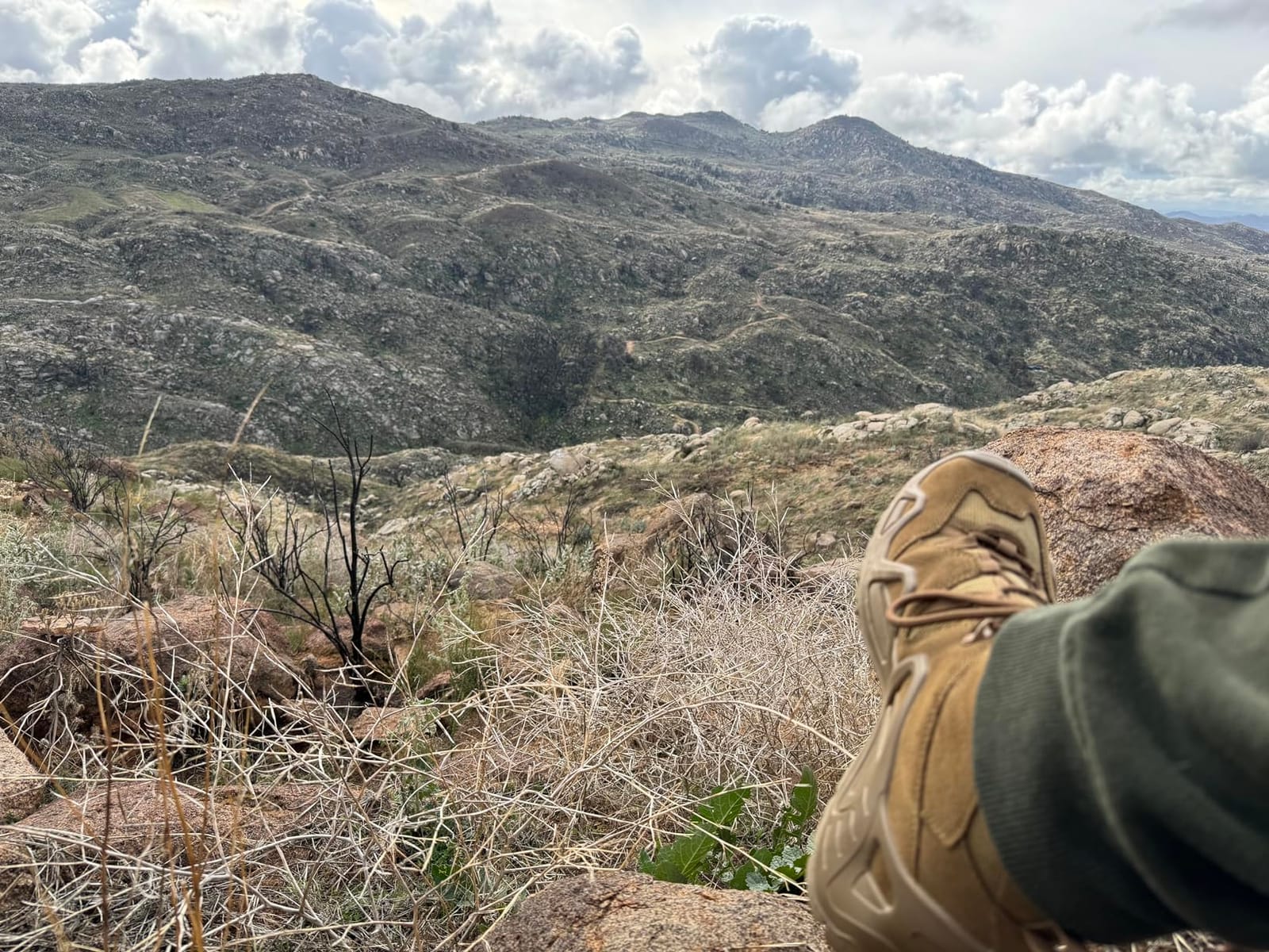 Lowa Men's Zephyr GTX Mid Hiking Boot customer photo 2