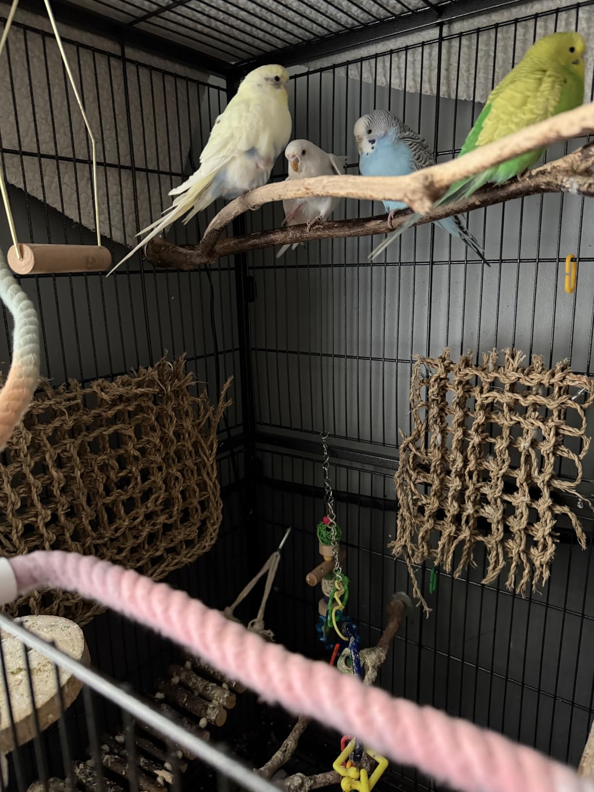 Yaheetech 52'' Bird Cage w/Perches & Feeders, Large Birdcage with Pull-Out Tray, Rolling Wheels, Extra Storage, Flight Cage for Cockatiel, Parrot, Parakeet, Conure, Budgie, Pigeon Small/Medium Birds customer photo 1