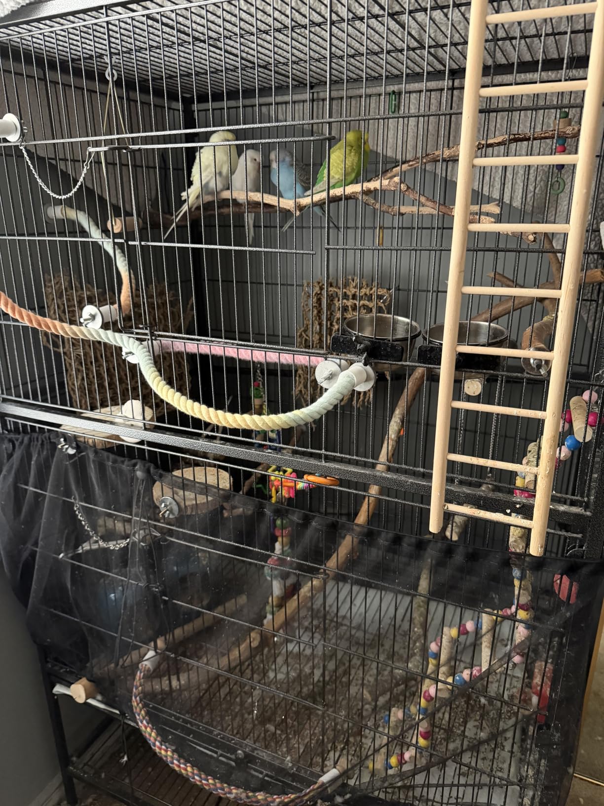 Yaheetech 52'' Bird Cage w/Perches & Feeders, Large Birdcage with Pull-Out Tray, Rolling Wheels, Extra Storage, Flight Cage for Cockatiel, Parrot, Parakeet, Conure, Budgie, Pigeon Small/Medium Birds customer photo 2