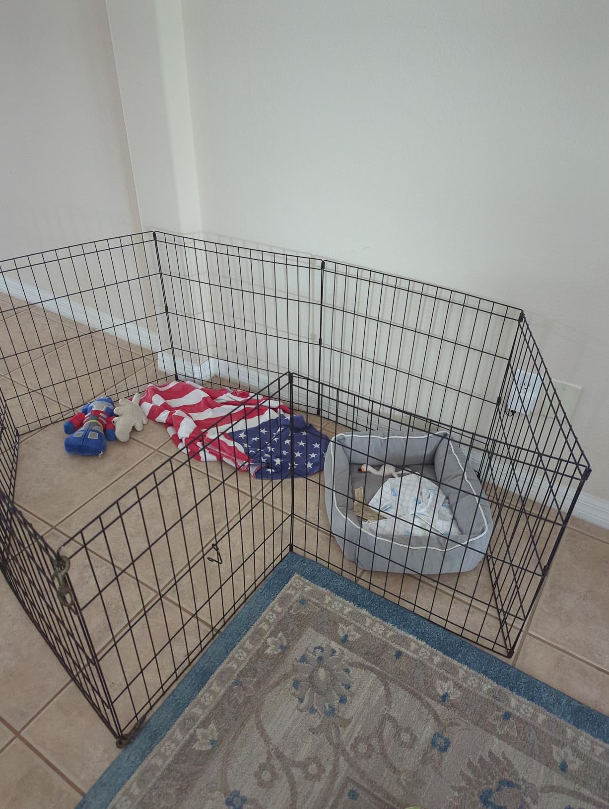MidWest Homes for Pets 42-Inch Exercise Pen, for Indoor and Outdoor use, 16 Sq Feet of Play, Folding Dog Pen, No Door Design for Maximum Security, Easy to Set Up, Foldable Pet Playpen customer photo 1