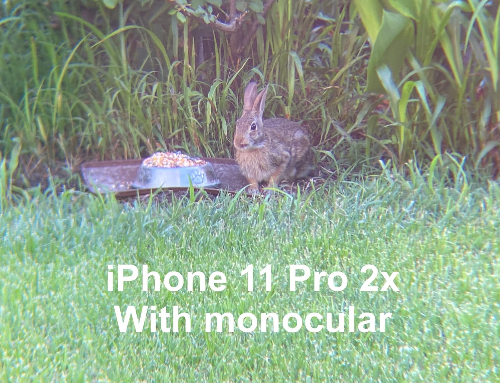 Gosky 12x55 HD Monocular Telescope with BAK4 Prism & FMC Lens, Lightweight with Smartphone Adapter - For Bird Watching, Hunting, Hiking, Traveling | Large BAK4 Prism & FMC Lens, IPX7 Waterproof, Monocular Telescope for Bird Watching, Wildlife Viewing, Travel, Hiking, Sports customer photo 2