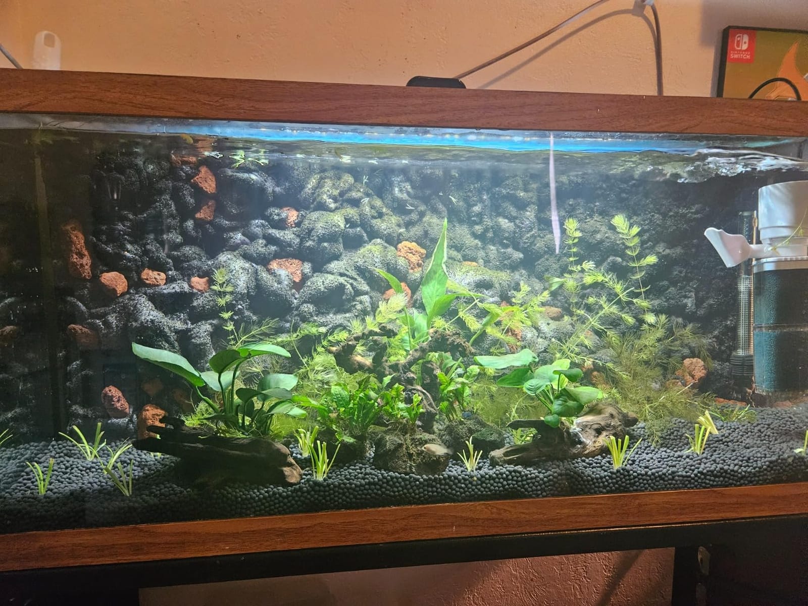 Fluval Aquasky 2.0 Bluetooth LED Aquarium Light, 18W, 24-36