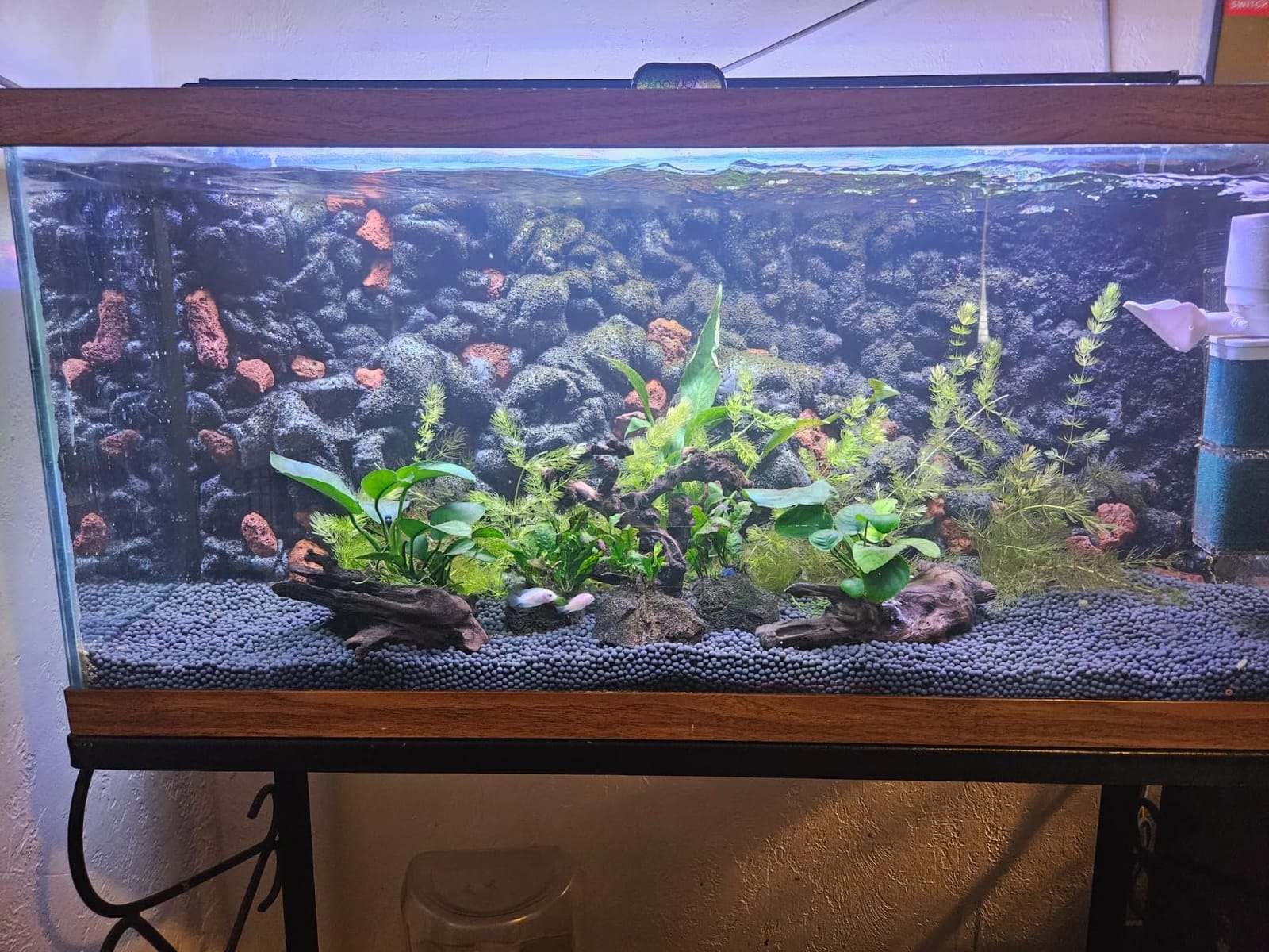 Fluval Aquasky 2.0 Bluetooth LED Aquarium Light, 18W, 24-36