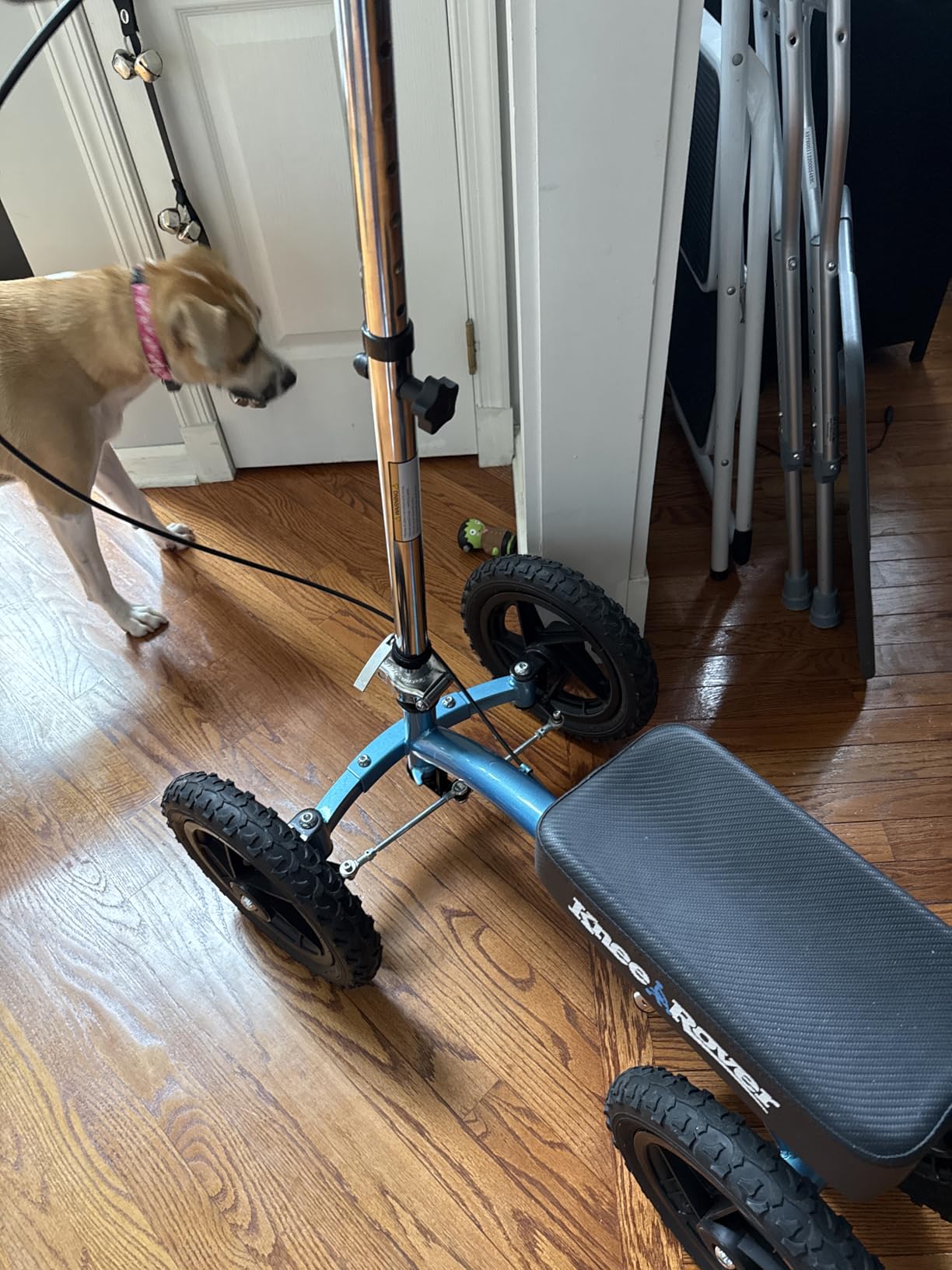 KneeRover Quad All Terrain Knee Scooter for Adults, Metallic Blue | Four Pneumatic Wheels, Heavy Duty Knee Walker For Foot Surgery, Broken Ankle Foot Injuries Recovery, Knee Crutch Alternative customer photo 1