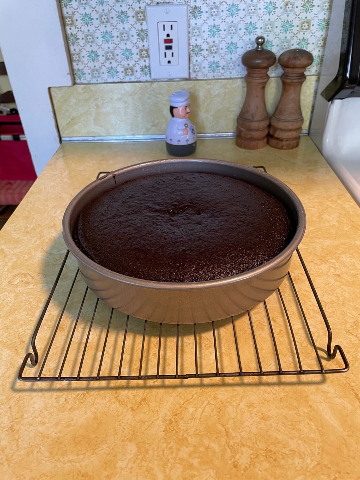 USA Pan Bakeware Round Cake Pan, 9 inch, Nonstick & Quick Release Coating, Made in the USA from Aluminized Steel, Set of 2 customer photo 1