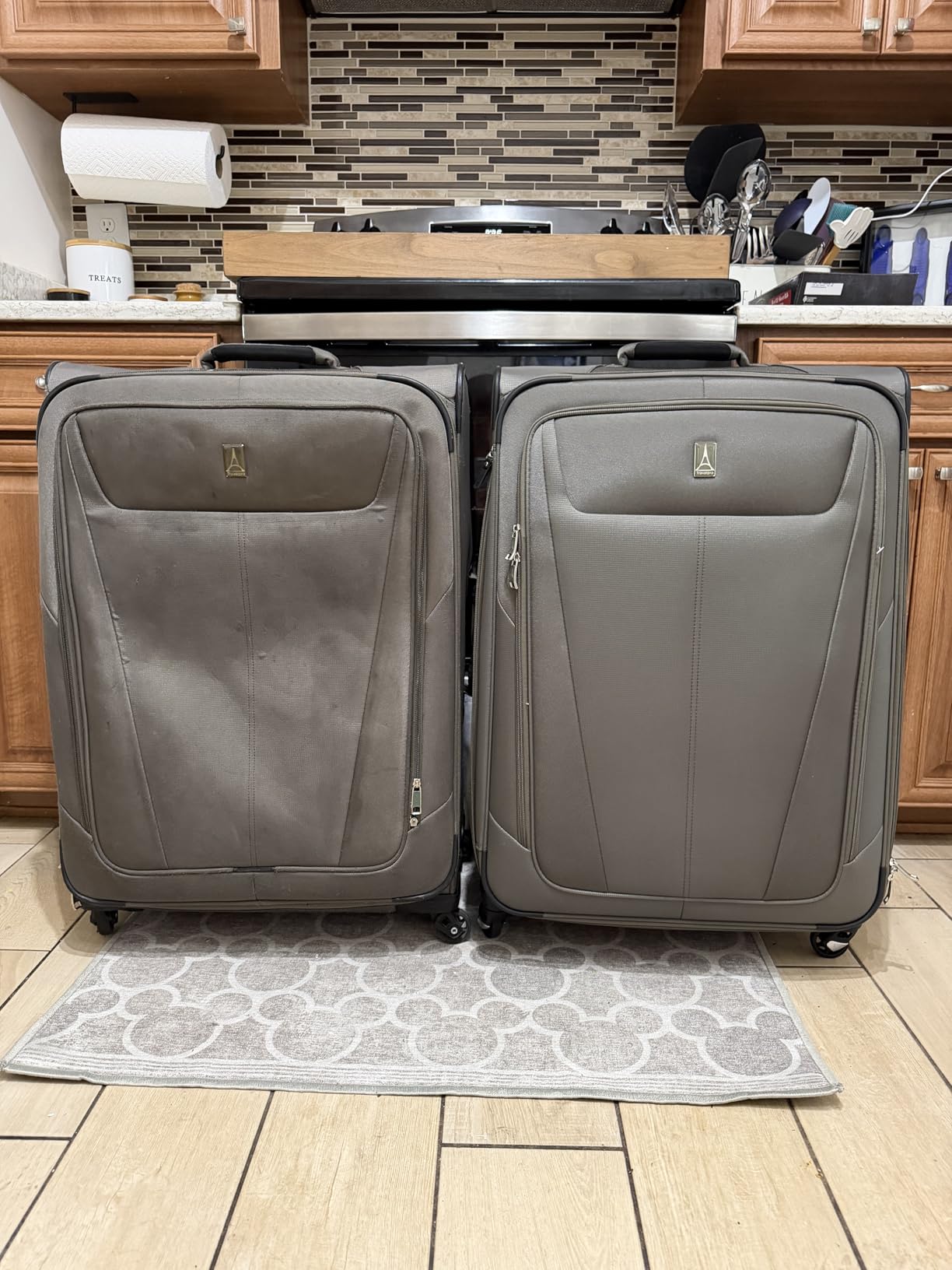 Travelpro Maxlite 5 Softside Checked Luggage Spinner, Black, 29-Inch | Large Checked Suitcase, Expandable With 4 Wheels, Lightweight & Versatile Travel Design, Men & Women customer photo 1