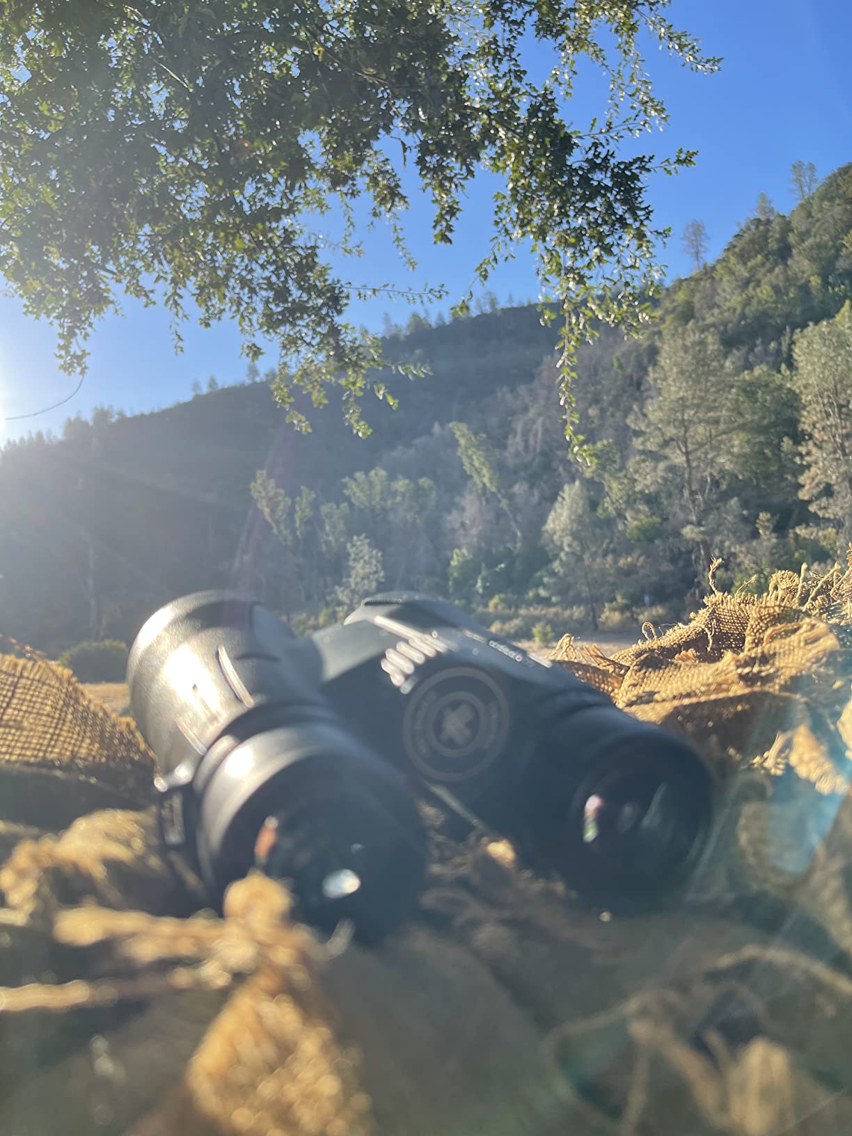 Vortex Viper HD Roof Prism Binoculars 12x50 - HD Optics, XR Lens Coatings, Tripod Adaptable, Locking Diopter, Included GlassPak customer photo 2