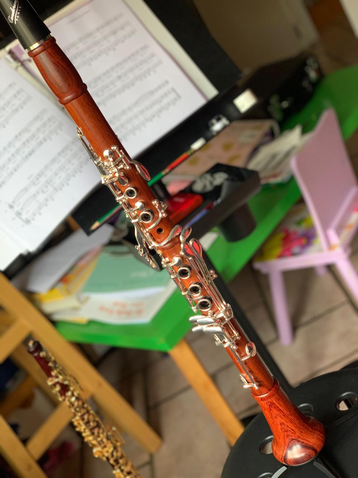 Yinfente Bb Clarinet for Beginner 17 Key Nickel-plated Rosewood b Flat Clarinet with 2 Barrels, Hard Case, Cleaning Kit, Mouthpiece, Cork Grease, Gloves, Reeds, Cushion customer photo 2