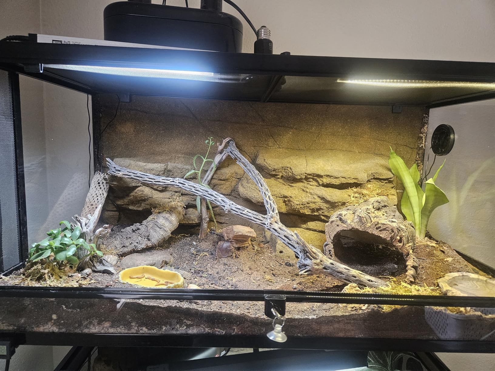 REPTI ZOO 50 Gallon Reptile Glass Terrarium Tank Double Hinge Door with Screen Ventilation Large Reptile Terrarium 36
