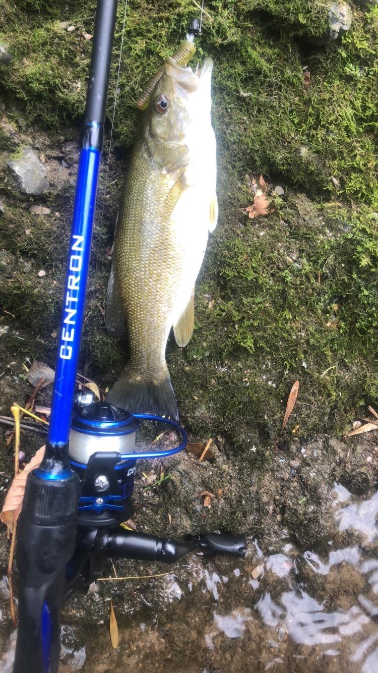 KastKing Centron Fishing Rod and Reel Combo, Baitcaster & Spinning Combo | 2-Piece Rod Blanks, Stainless Steel Guides with Ceramic Rings, EVA Handle with Fighting Butt customer photo 1