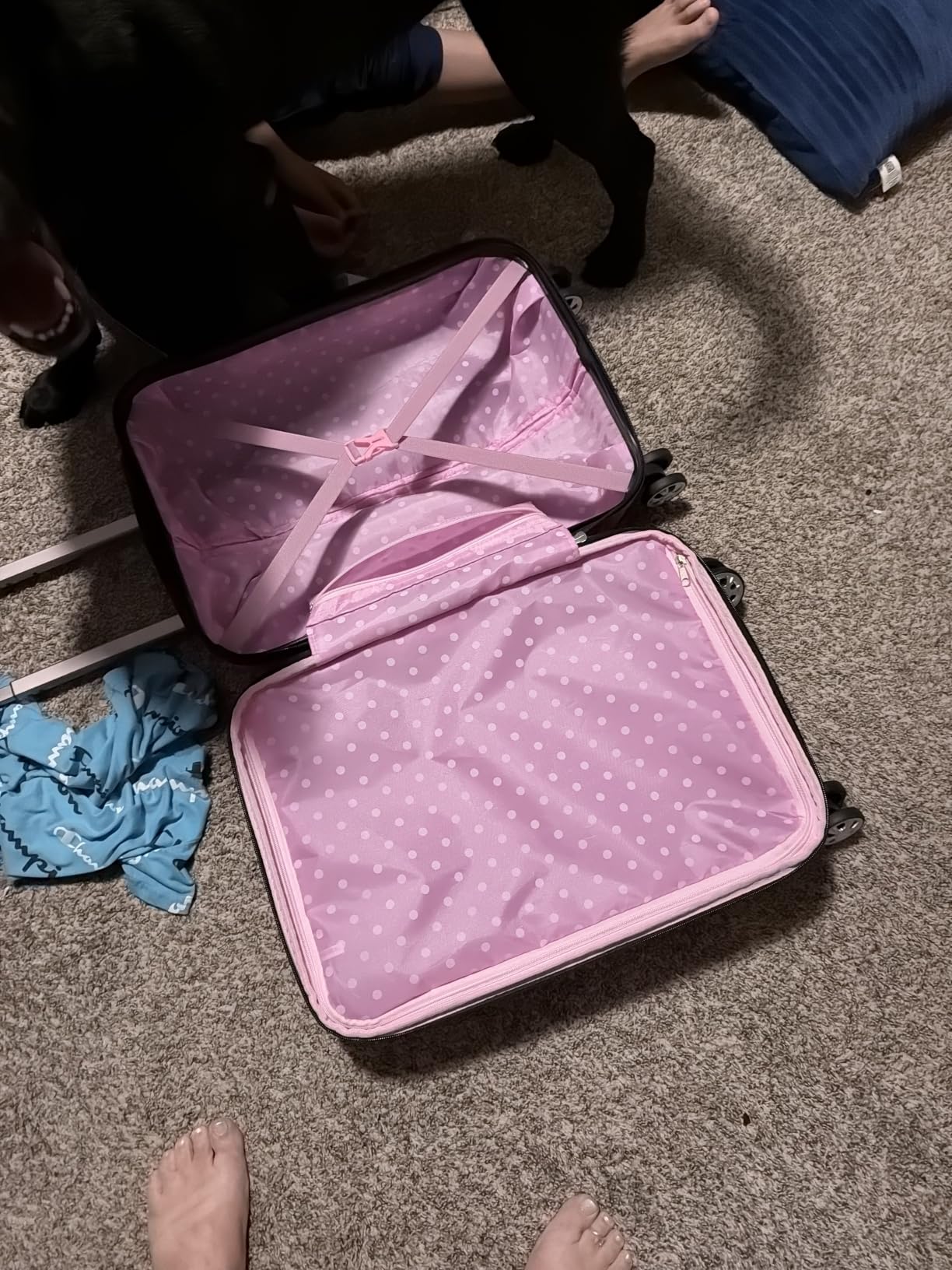 Rockland Melbourne Hardside Expandable Spinner Wheel Luggage, Mint, Checked Large 28