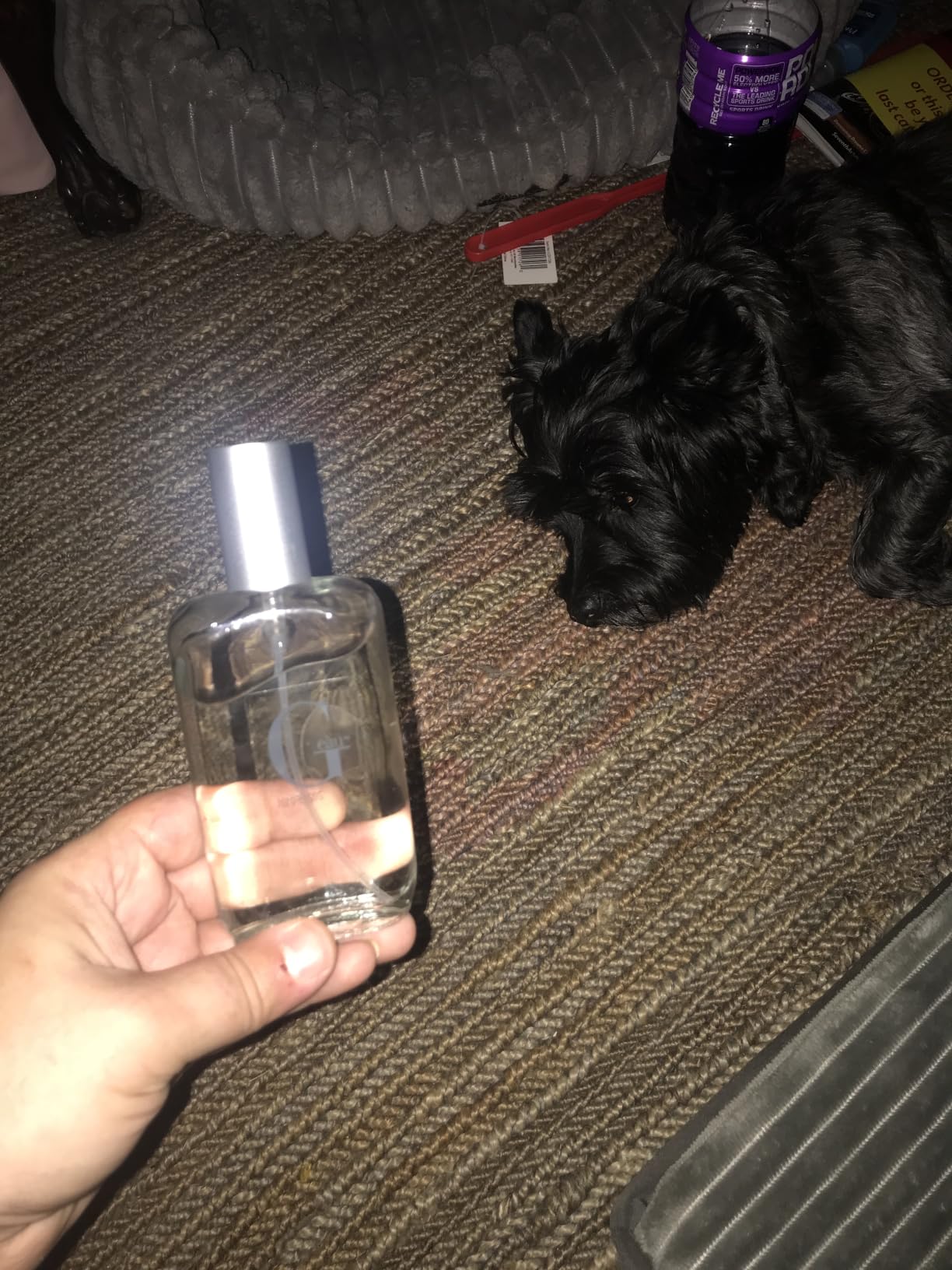 PB ParfumsBelcam Geau Eau de Toilette Perfume Spray for Men - 3.4 Fl Oz customer photo 1