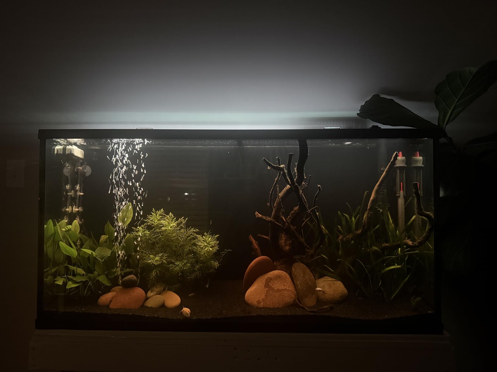 NICREW ClassicLED Plus LED Aquarium Light, 15W, for 18 to 24 Inch Fish Tank | Natural Full Spectrum Lighting, Sunrise & Sunset Simulation, CRI 91 Color Rendering, Customizable Lighting Schedule customer photo 1