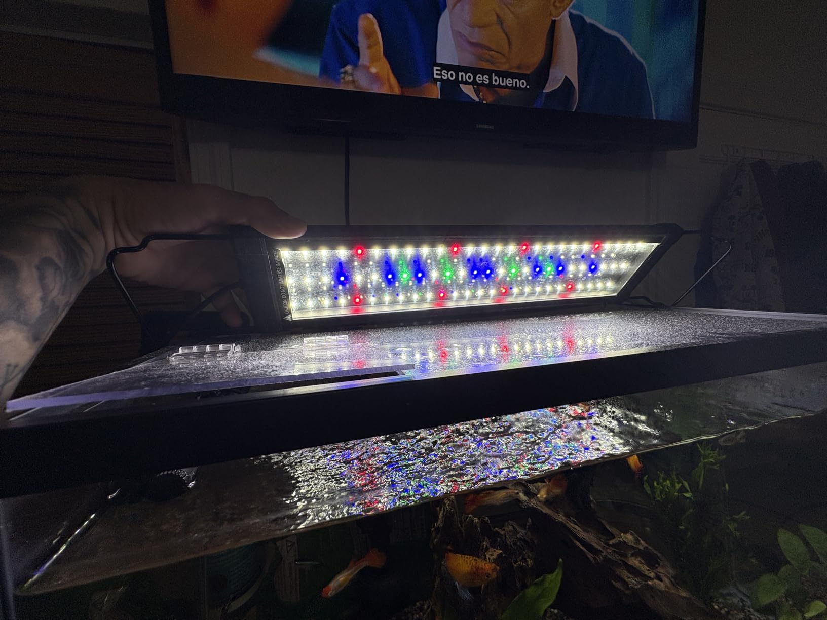 NICREW ClassicLED Plus LED Aquarium Light, 15W, for 18 to 24 Inch Fish Tank | Natural Full Spectrum Lighting, Sunrise & Sunset Simulation, CRI 91 Color Rendering, Customizable Lighting Schedule customer photo 2