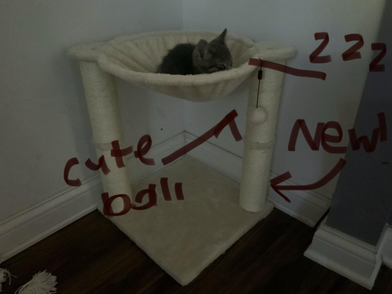 Amazon Basics Sturdy Cat Condo Tower with Hammock Bed and Scratching Posts, Interactive Hanging Ball Toy for Indoor Cats, 15.8