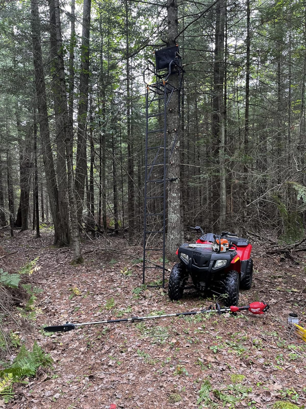 Muddy 1-Person Huntsman Deluxe Steel Ladder Tree Stand, 17 ft Tall | 300 lb Capacity - Hunting Treestand with Lumbar Support Seat, Flip-Back Adjustable Shooting Rail & Silencer Technology customer photo 1