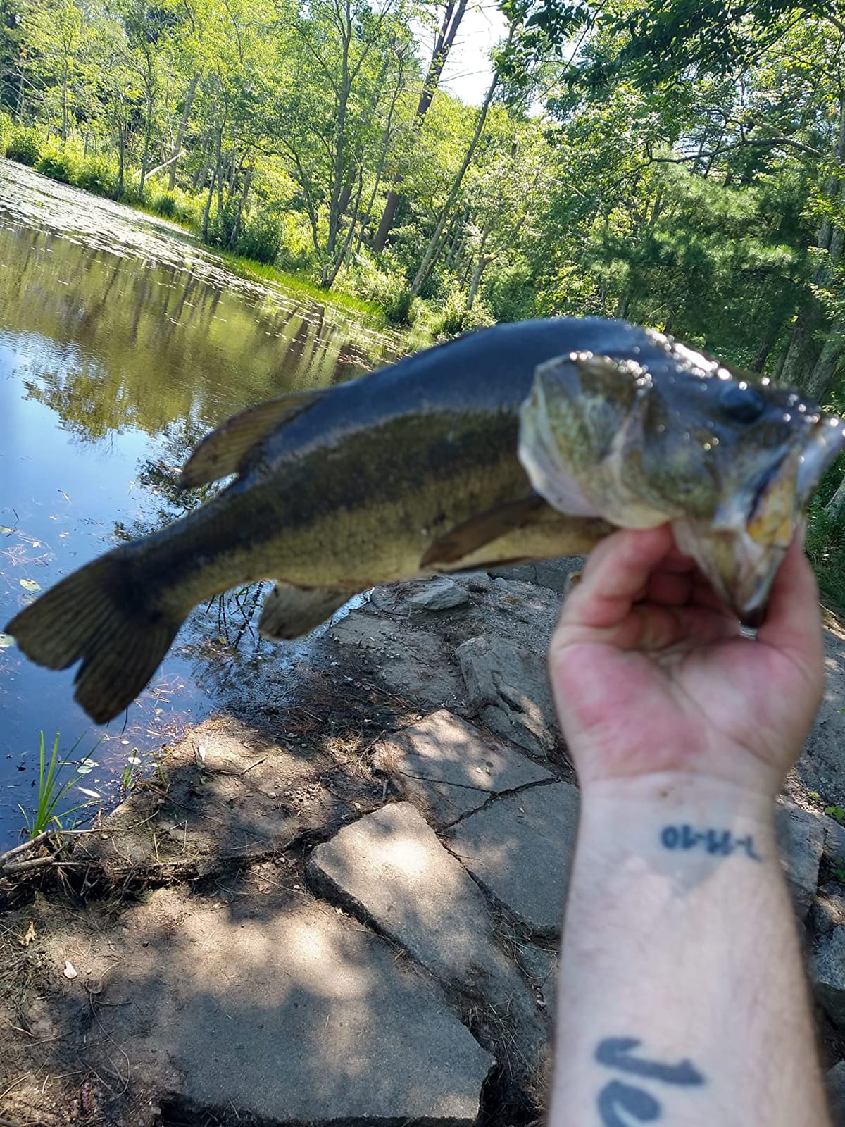 TRUSCEND Swimmax Easy Catch Fishing Lures with BKK Hooks, Wiggling, Vibrating, Rattling and Gurgling for More Bite, Heavy-Duty Dyneema Fiber Jointed Swimbaits for Bass, Trout, Walleye, Crappie, Pike customer photo 2