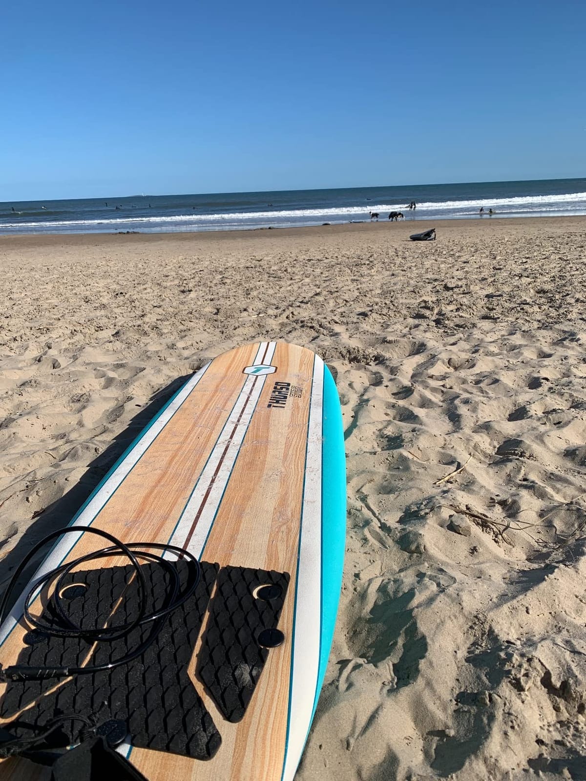 Thurso Surf 7/8 ft Soft Top Foam Beginner Surfboard for Adults and Kids Perfect Longboard for Surfing Beach Fun and Water Sports Lightweight and Durable Modern Design for All Levels of Surfers customer photo 2