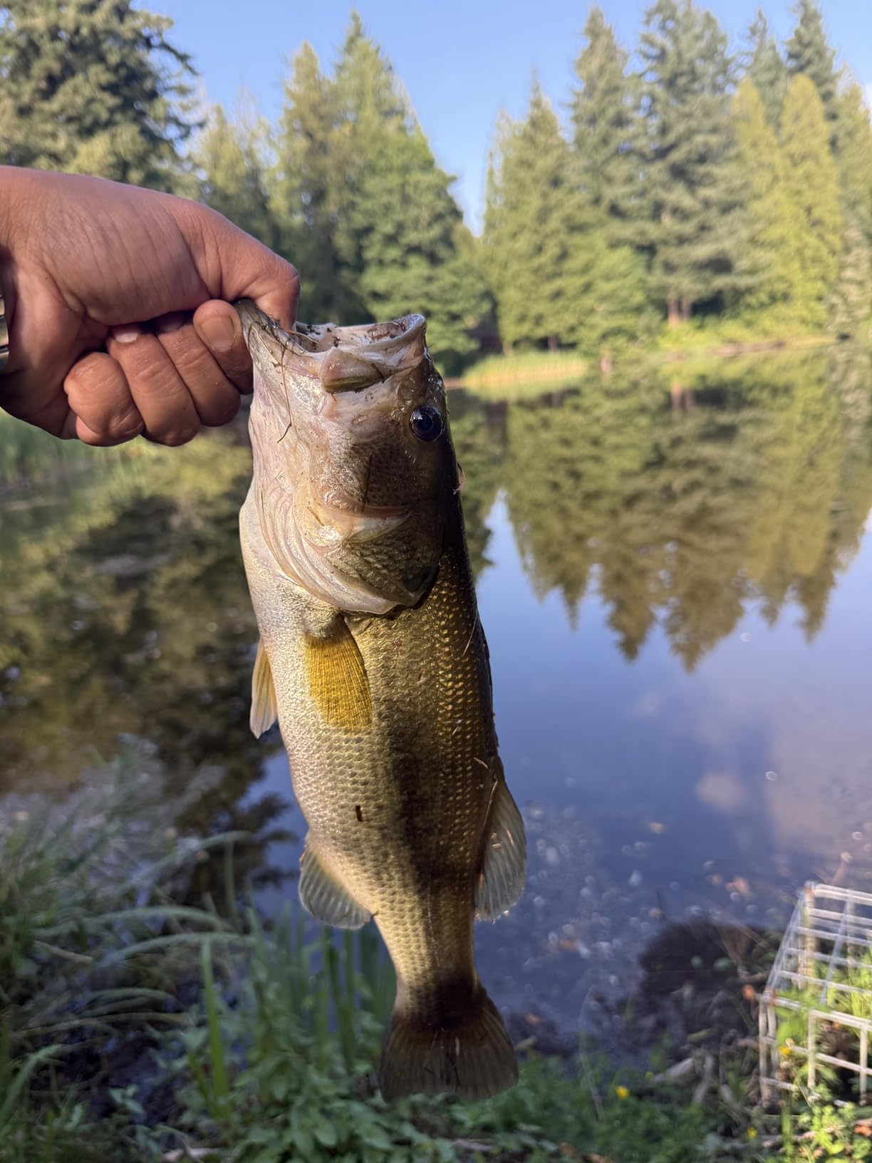 Reaction Tackle 100% Pure Fluorocarbon Fishing Line - High Strength, Abrasion-Resistant, Fast-Sinking, Virtually Invisible - Saltwater and Freshwater Leader Line customer photo 2